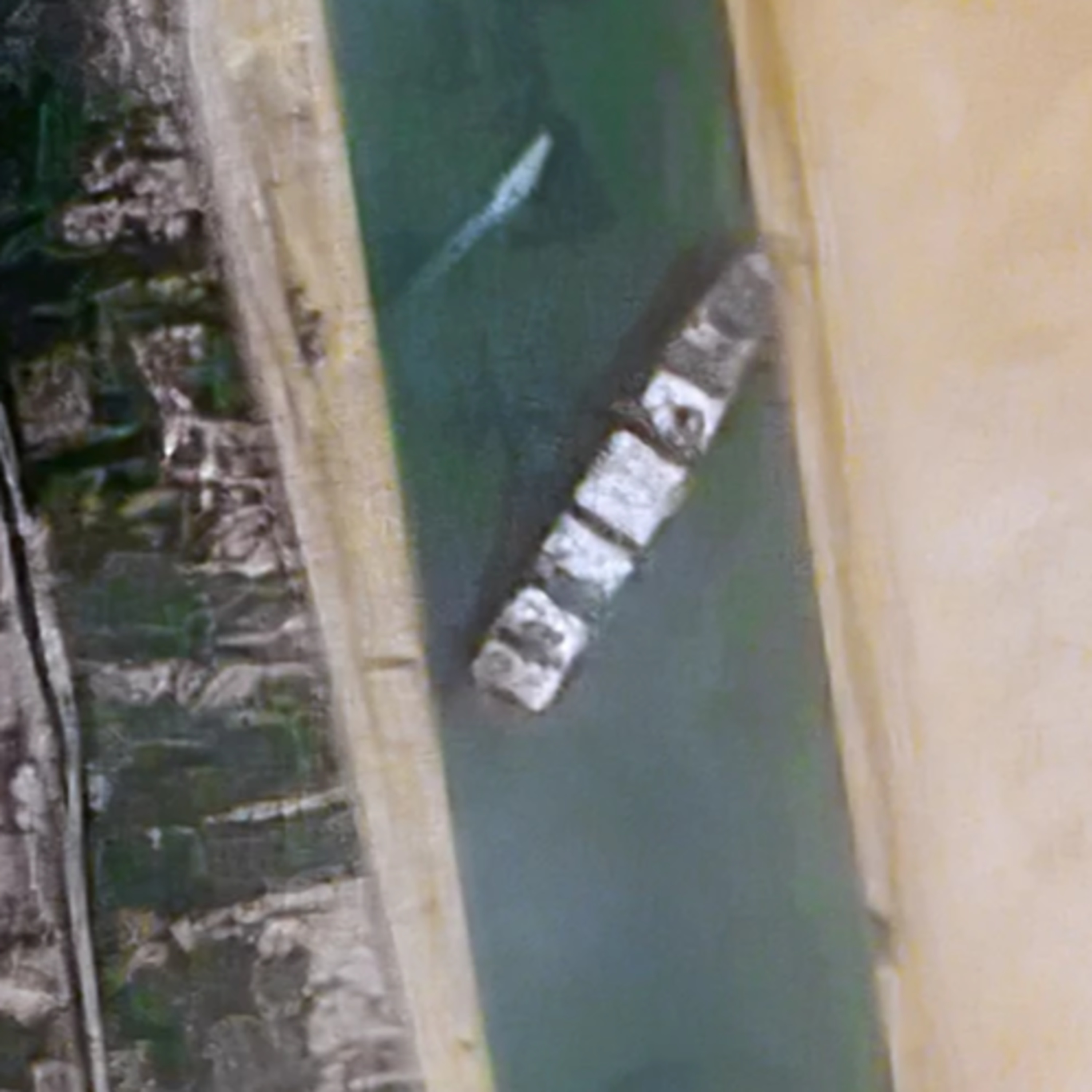 Suez Canal: Local Man Bankrupts Egypt | in the clear episode 179 episode artwork