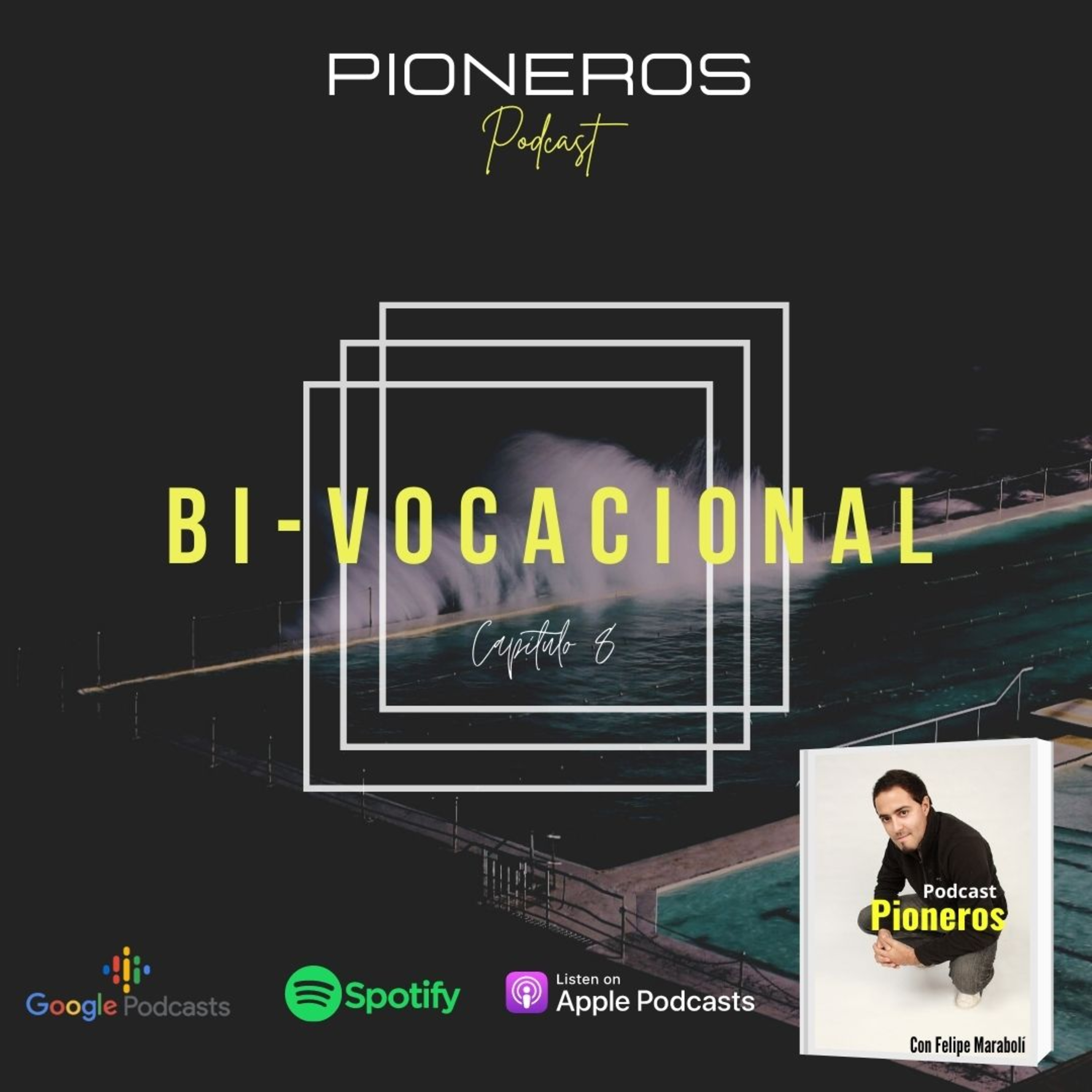 Bi - Vocacionales episode artwork