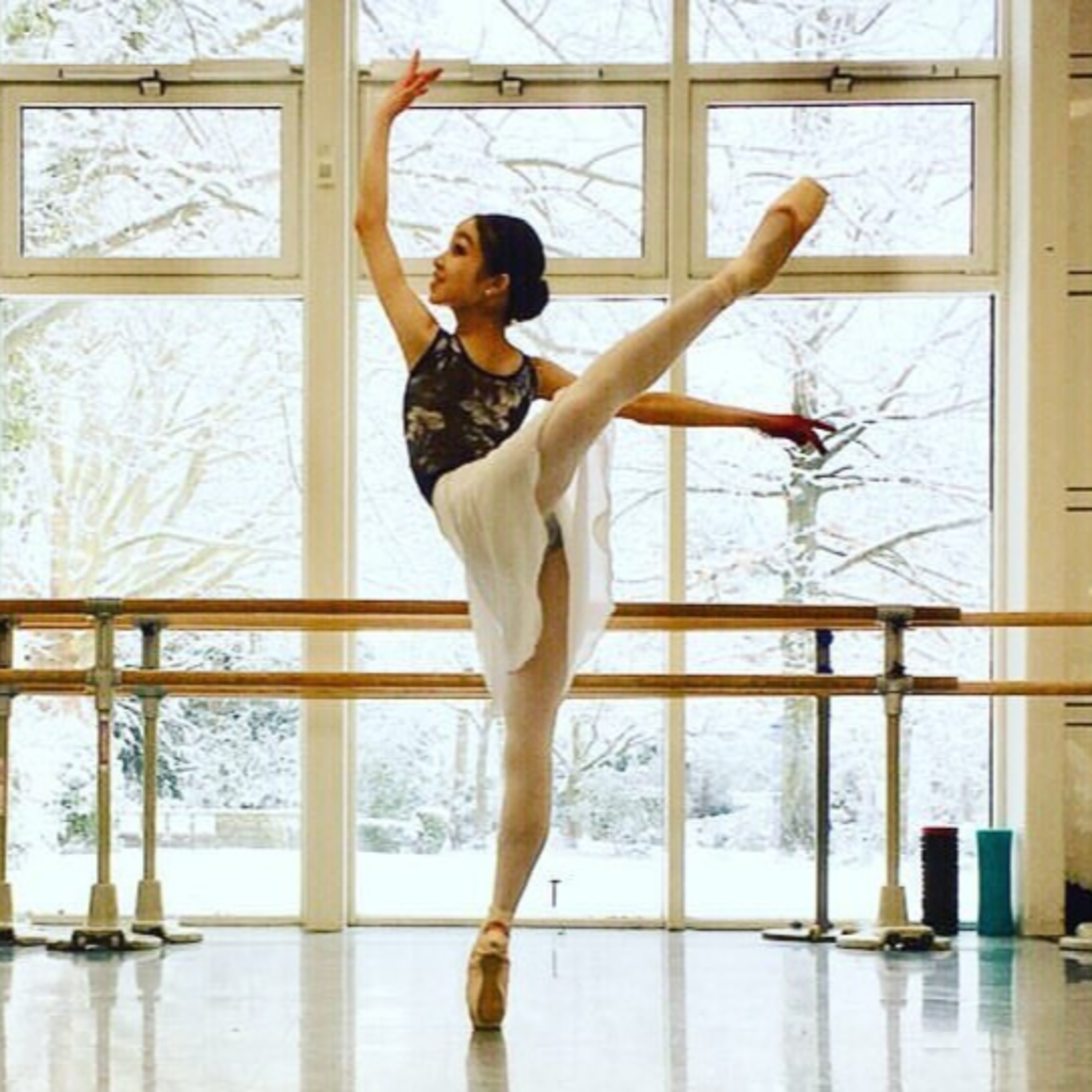 Ballet & Dance TALK