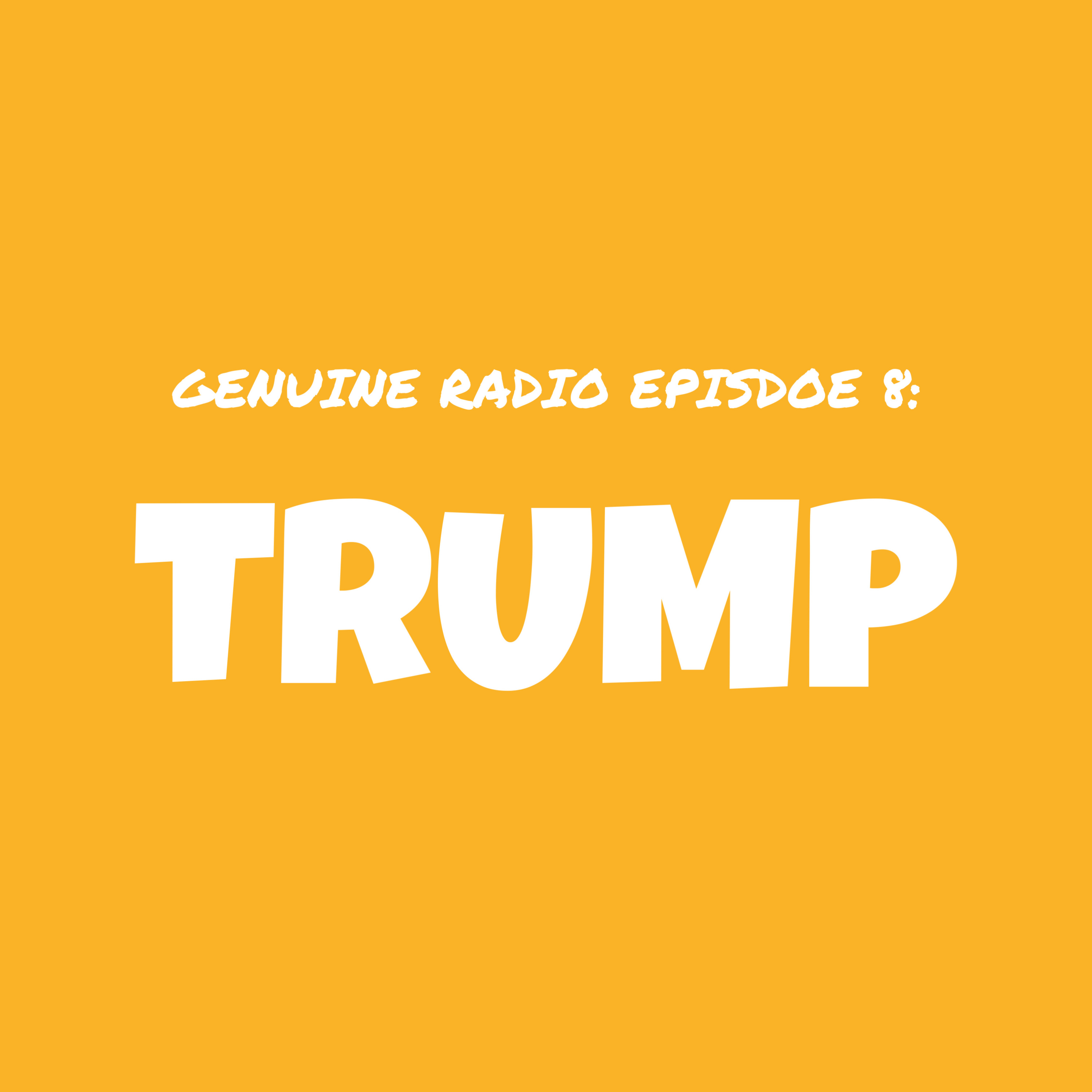 Trump episode artwork