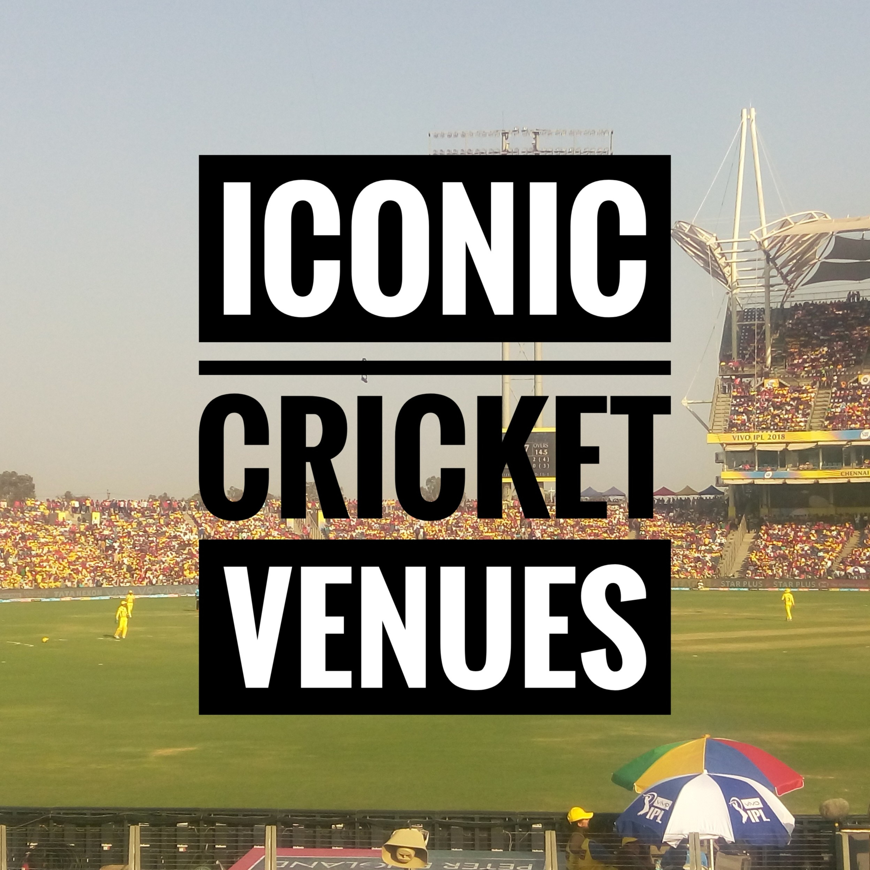 Cricket Unadulterated