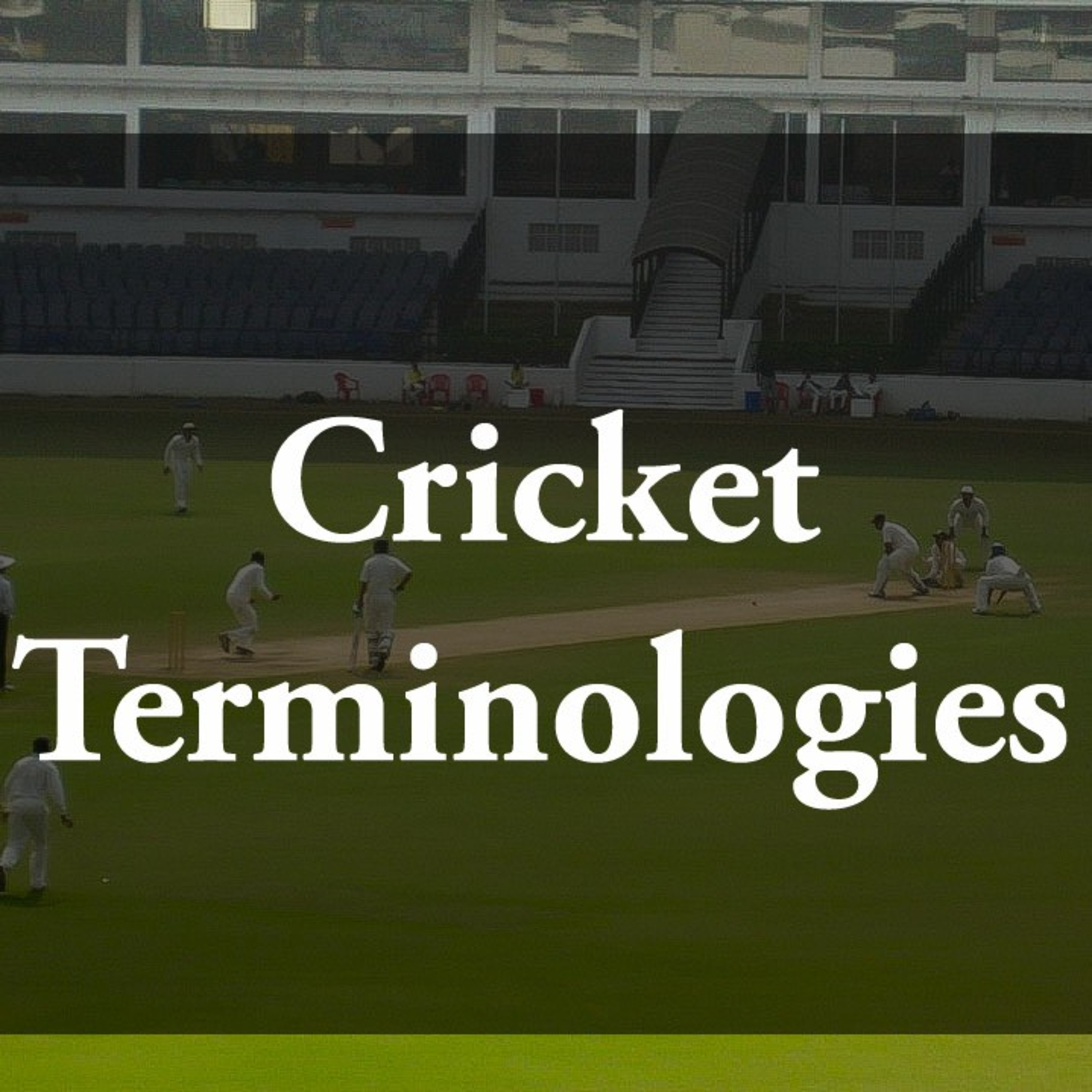 Cricket Unadulterated