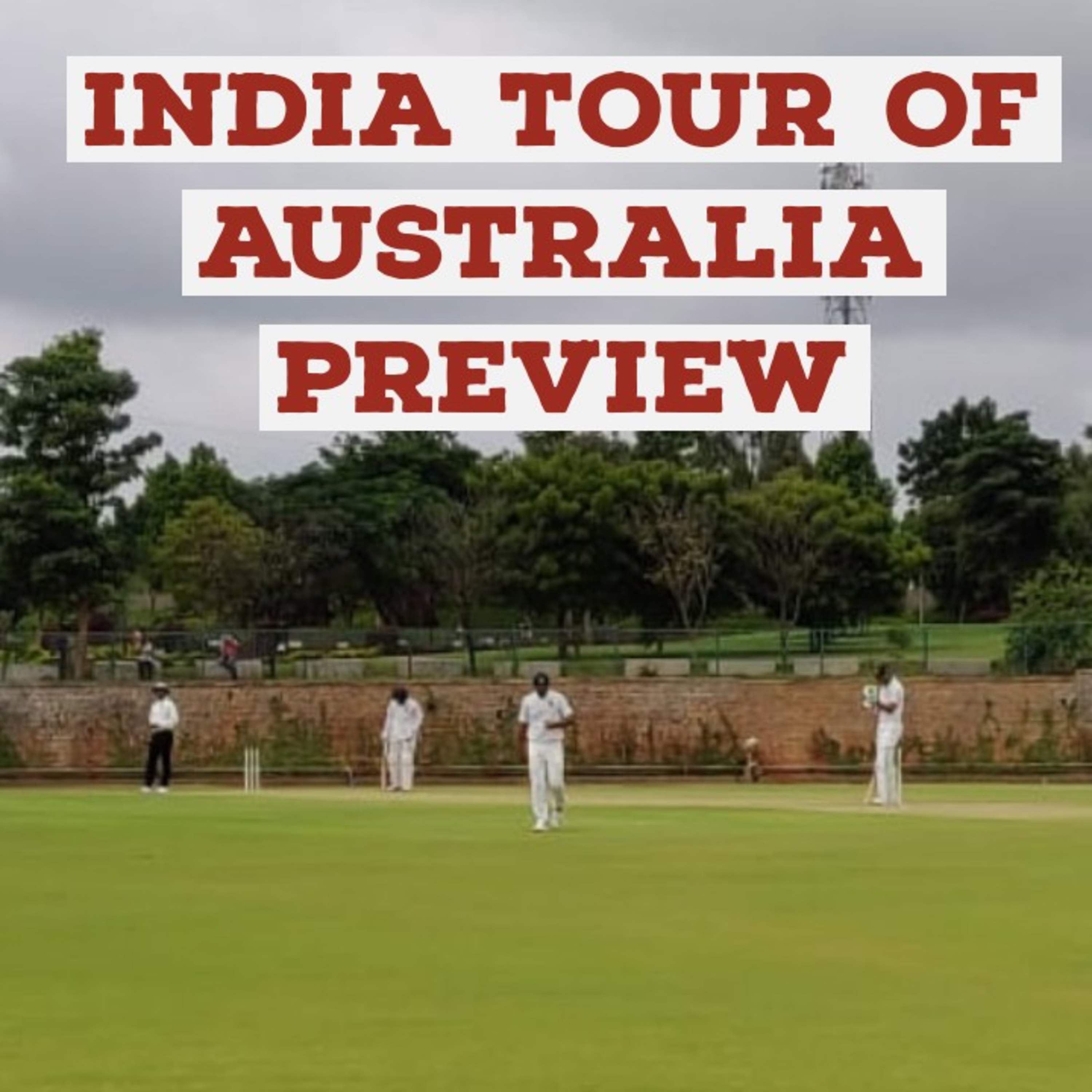 Cricket Unadulterated