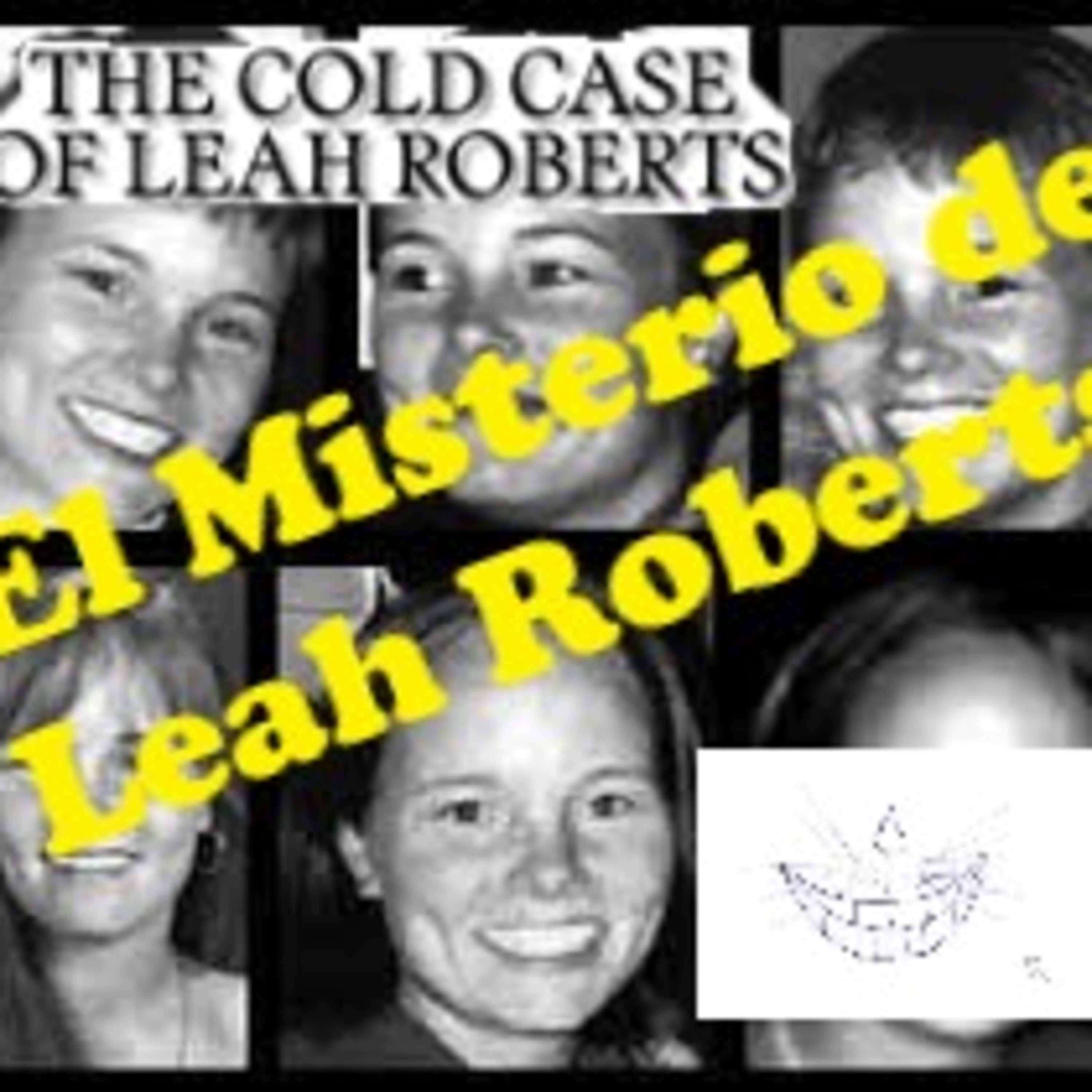 Hablemos de... La desaparición de Leah Roberts episode artwork