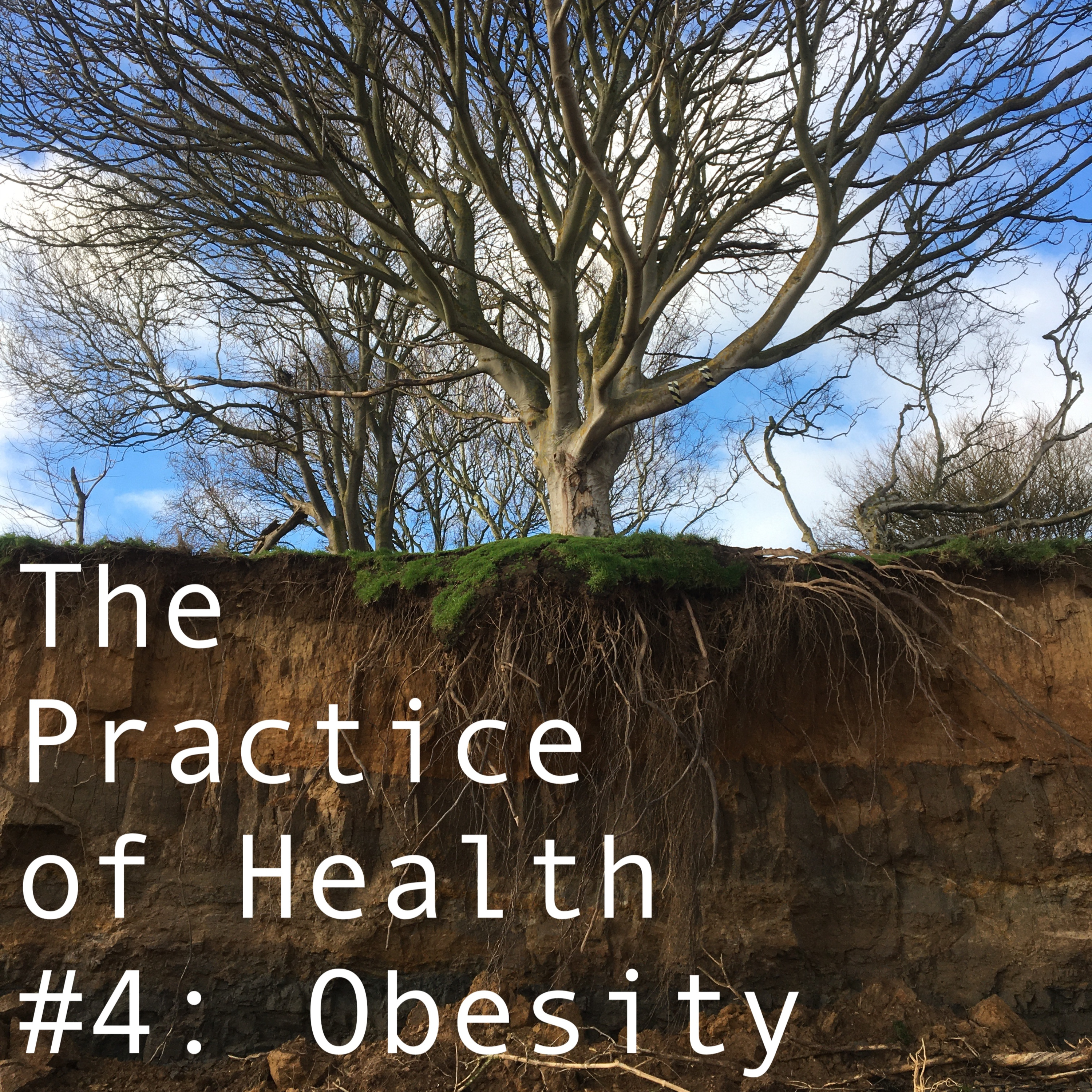 The Practice of Health