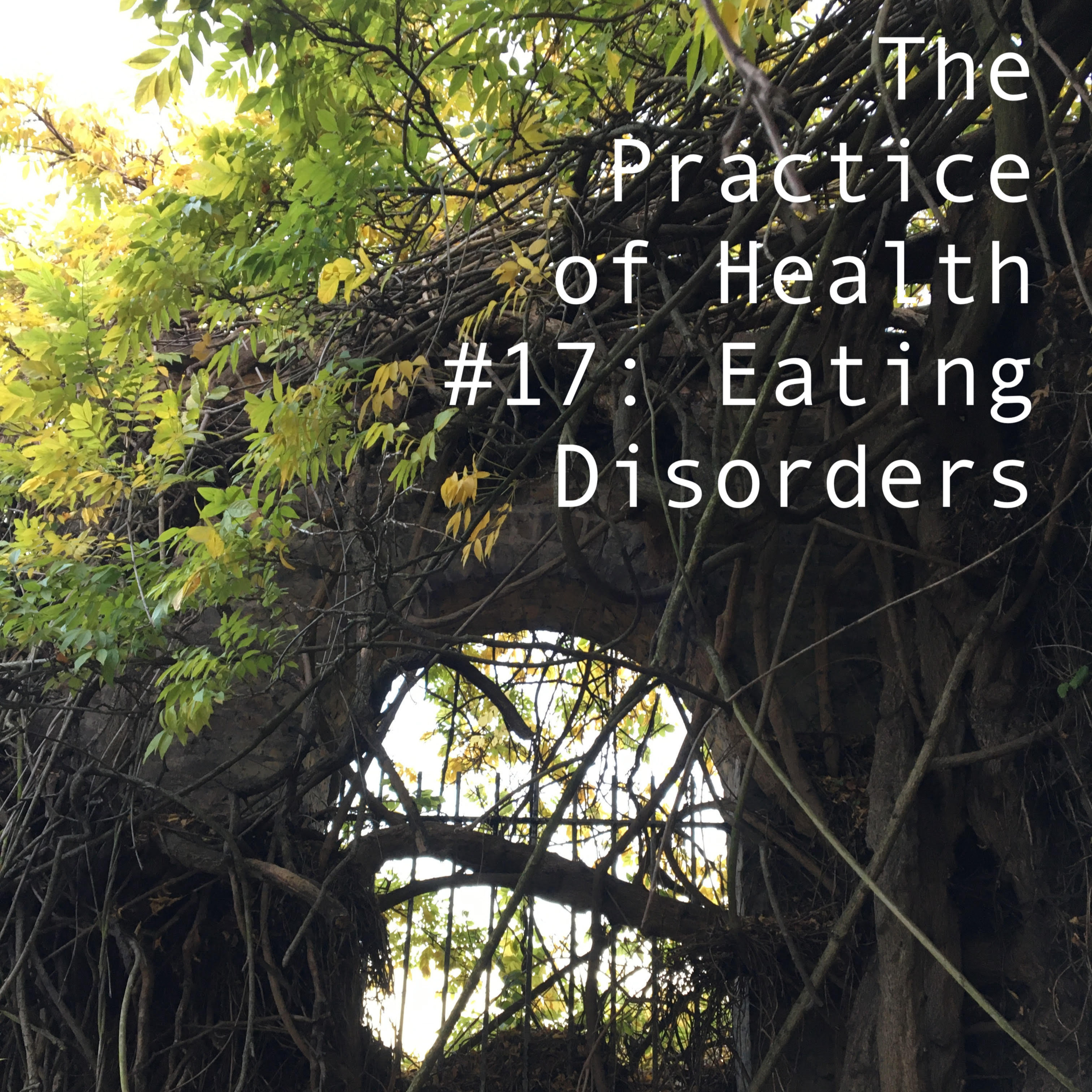 The Practice of Health