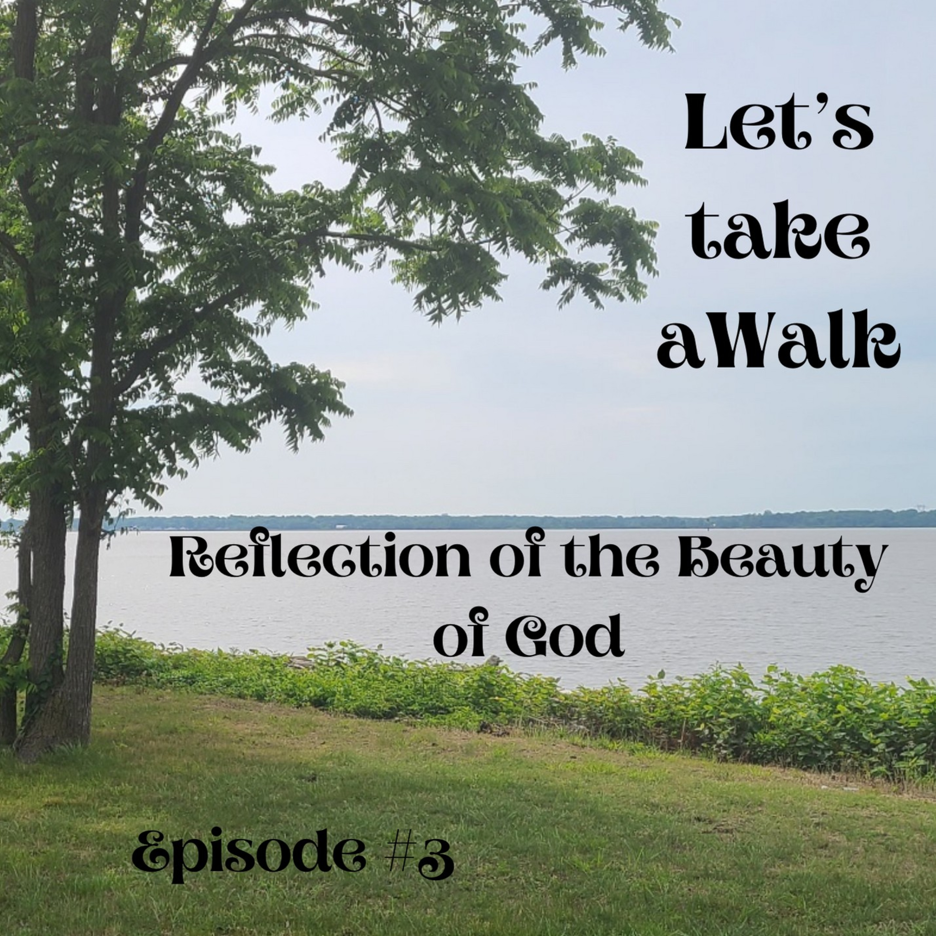 Let’s take a Walk episode artwork
