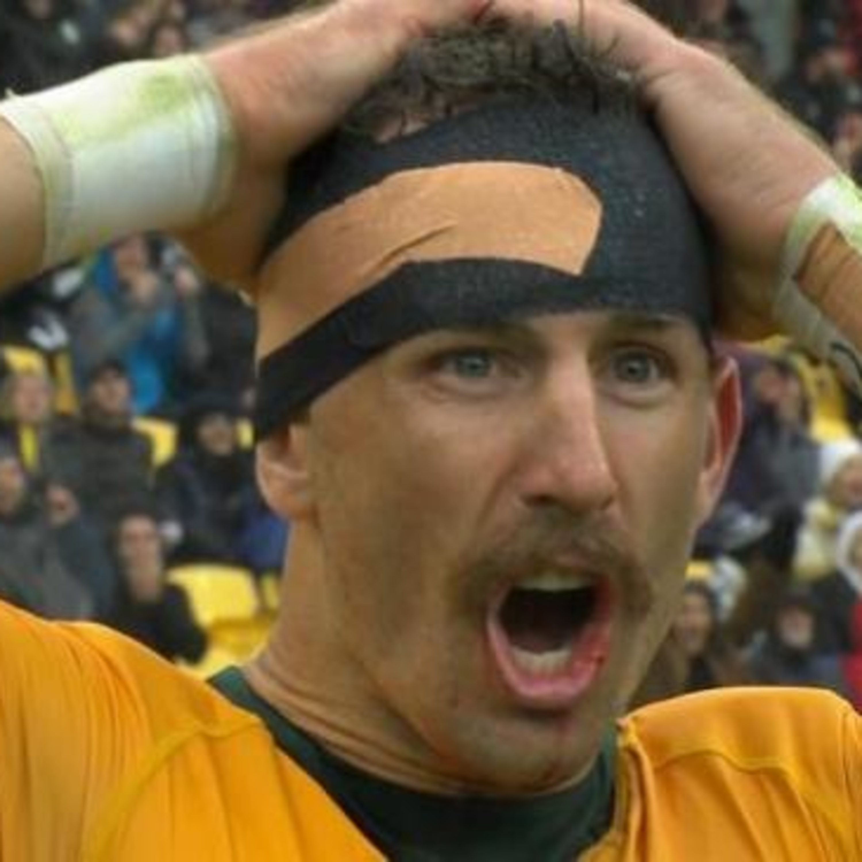 The Bonus Point Rugby Pod