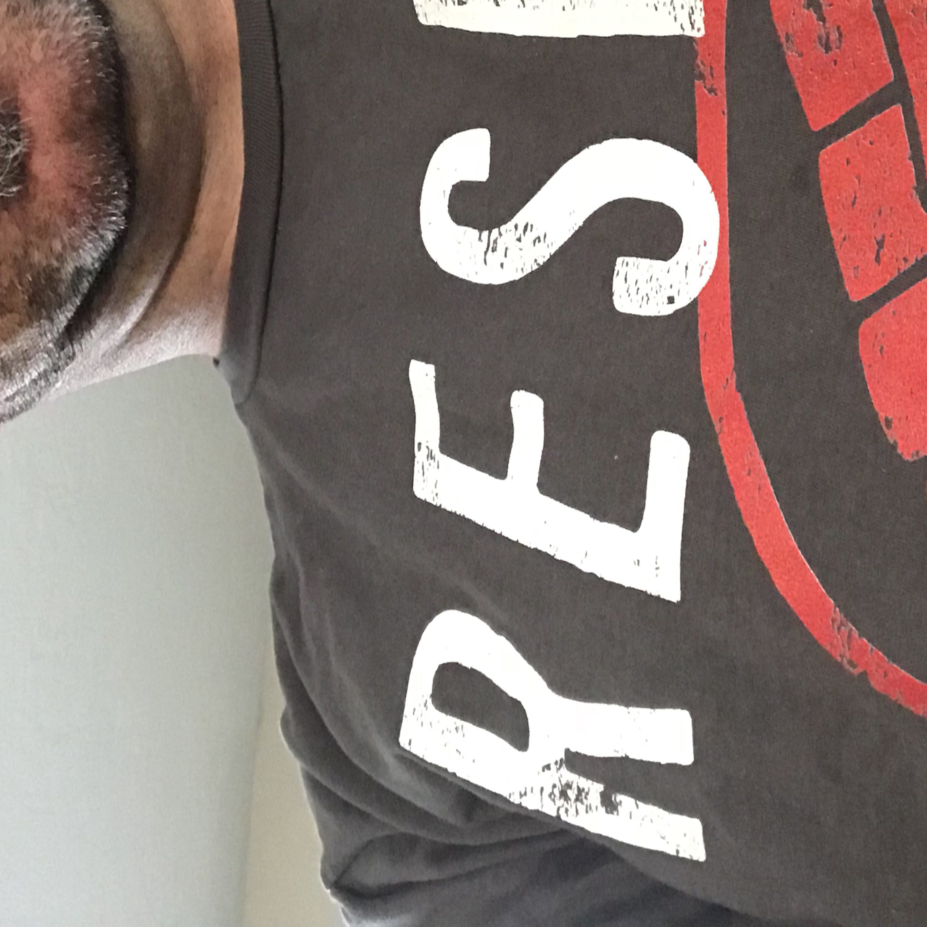 Into the Fryer- Ramblings From the Kitchen