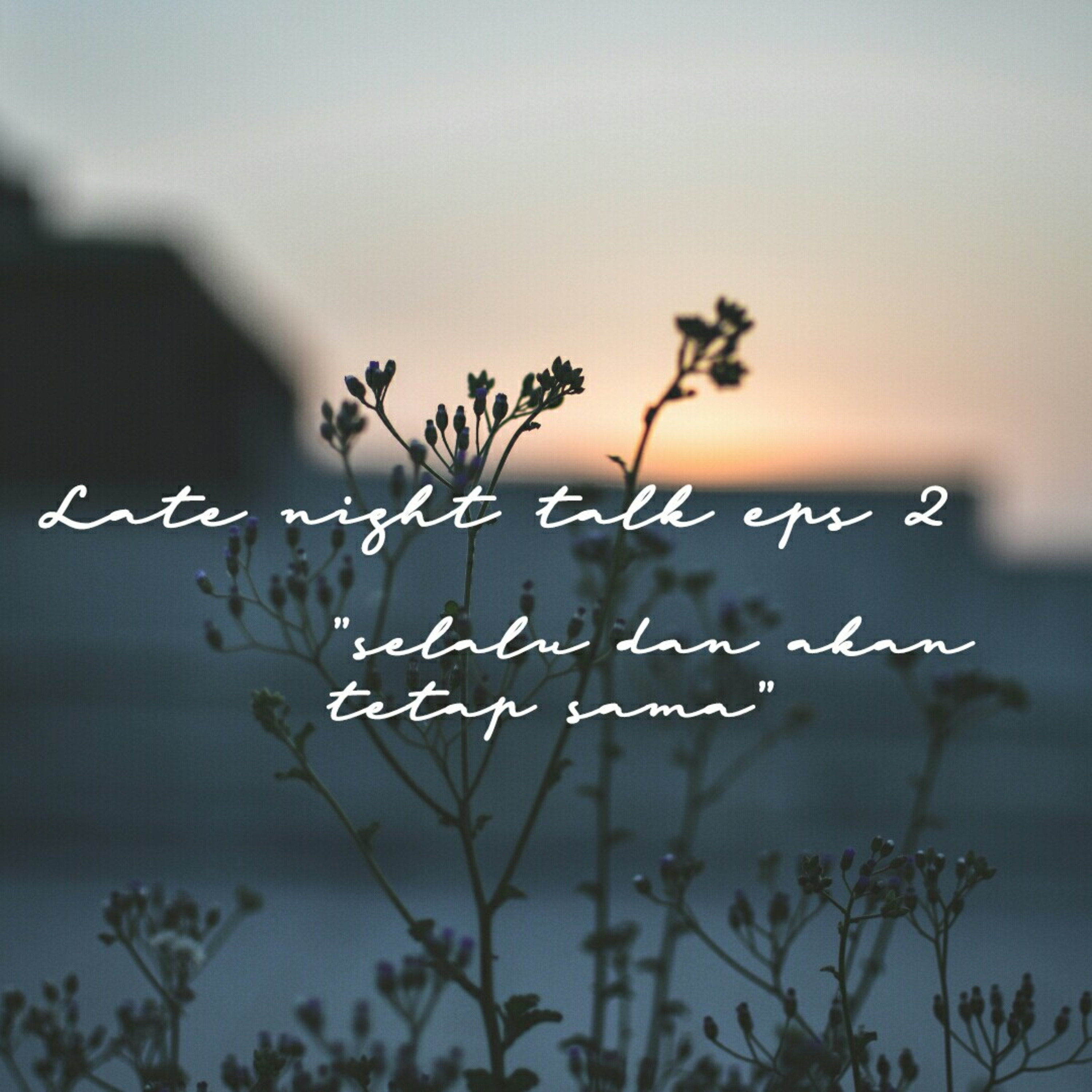Late Night Talk Eps 2 - Selalu dan Akan Tetap Sama episode artwork