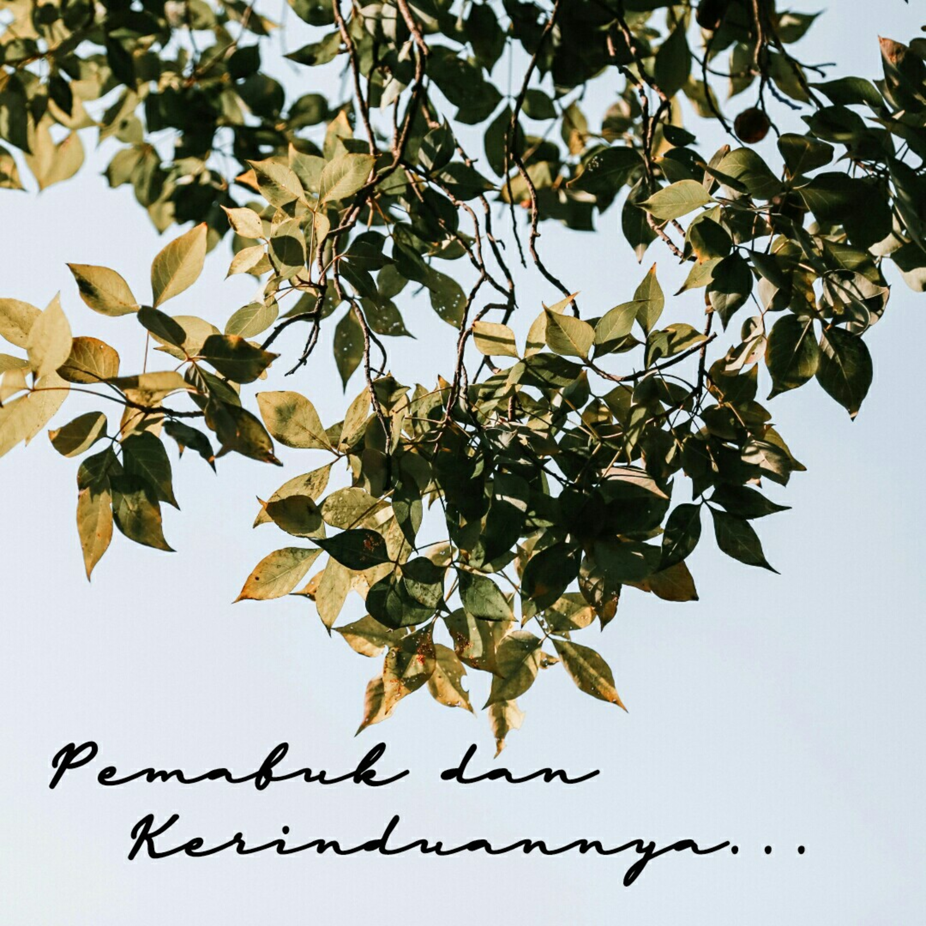 Bagian 7 - Pemabuk dan Kerinduannya episode artwork