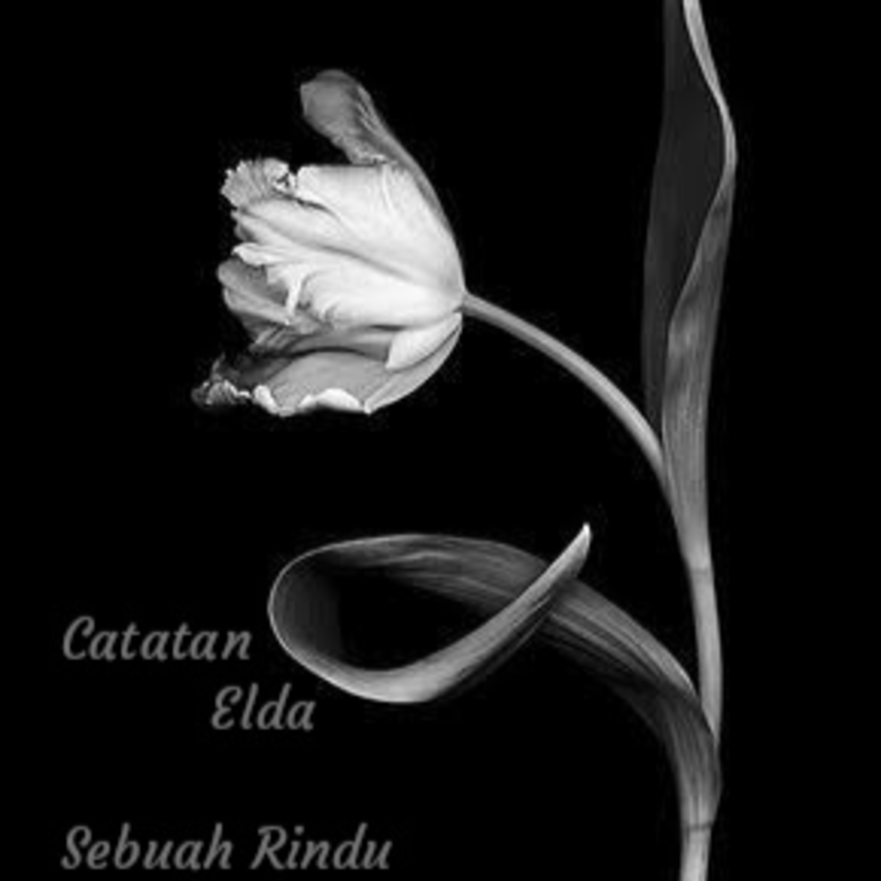 Catatan Elda
