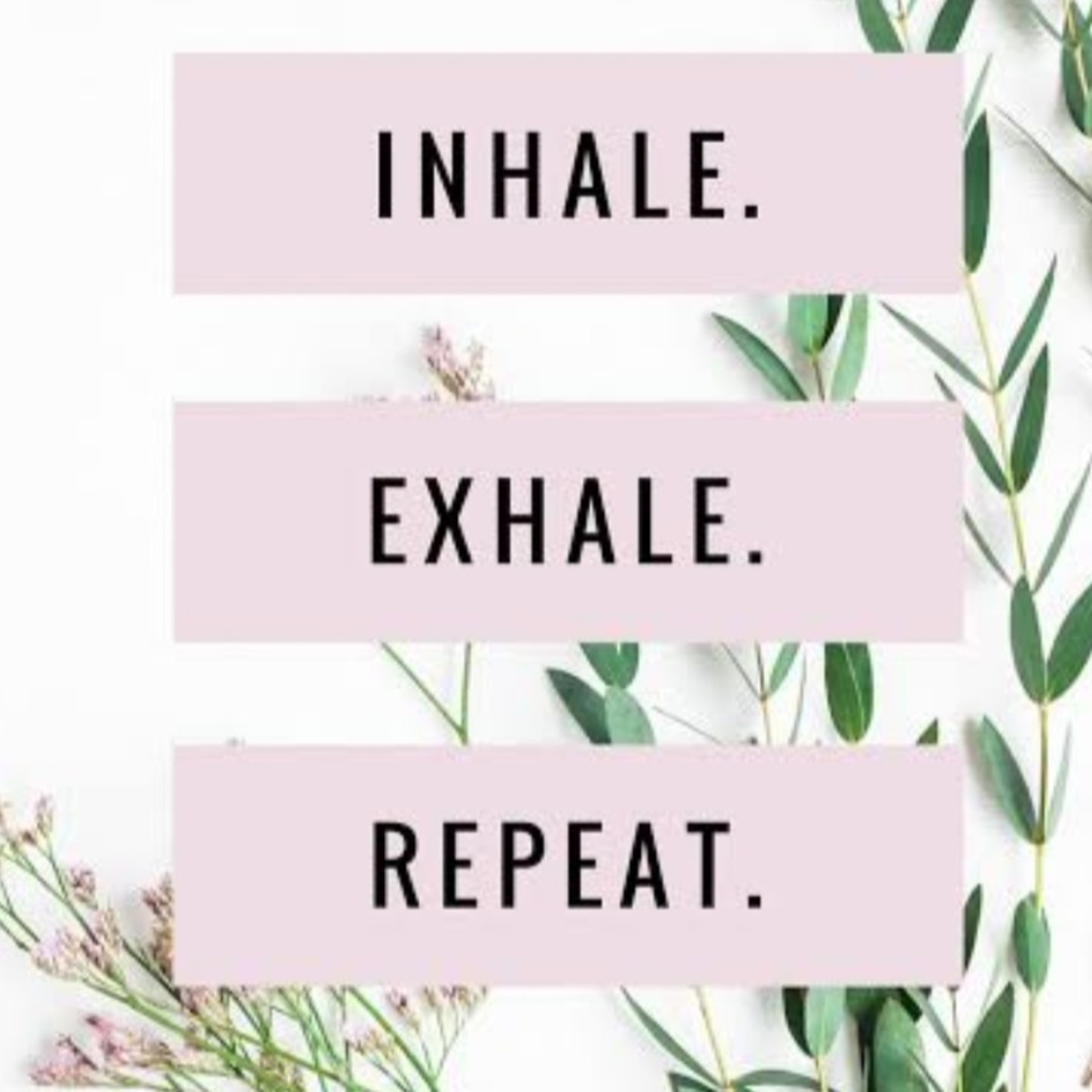 Exhale episode artwork