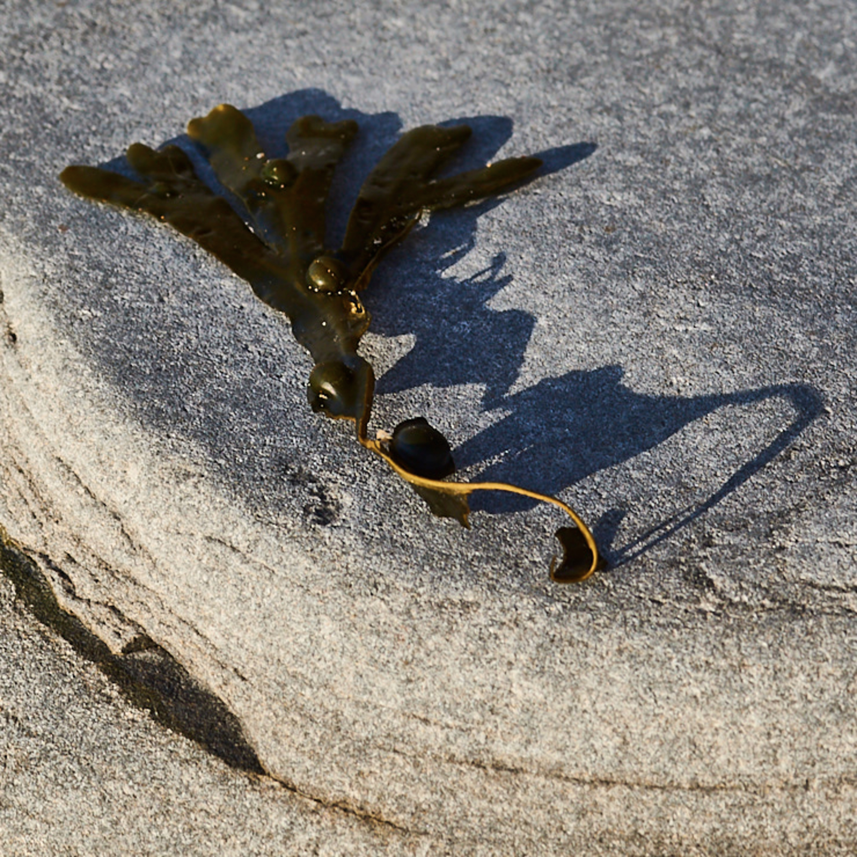 I\'ve got a little black book (@Occams_Beard)