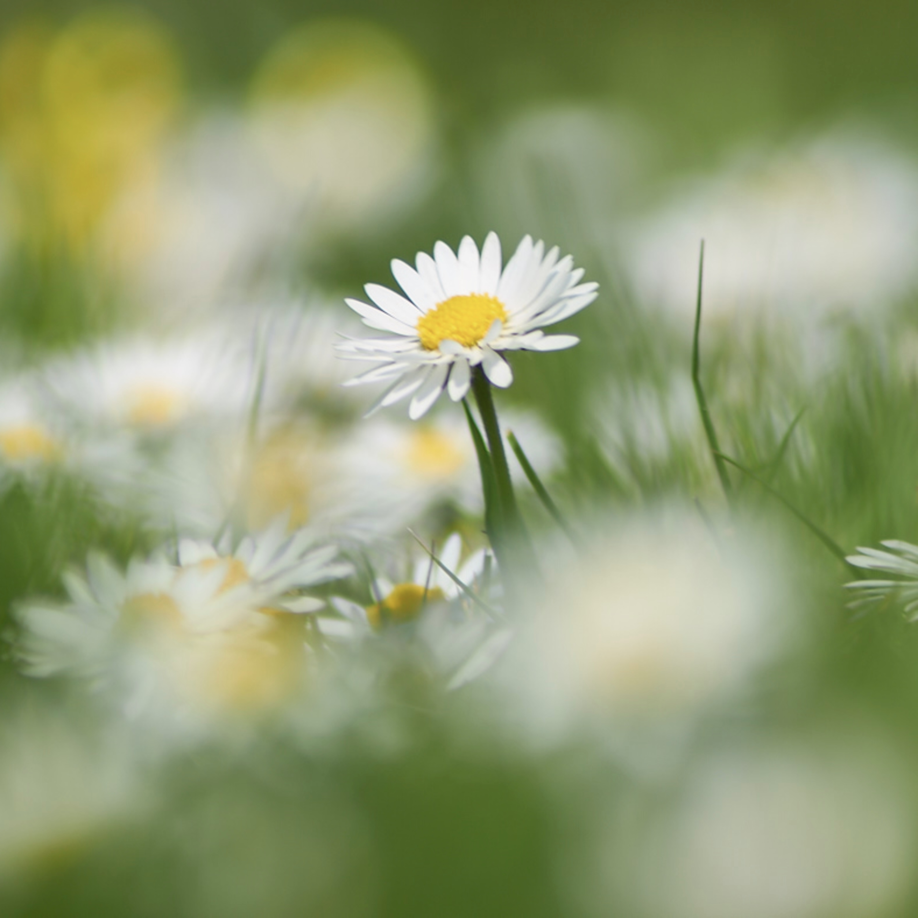 I\'ve got a little black book (@Occams_Beard)