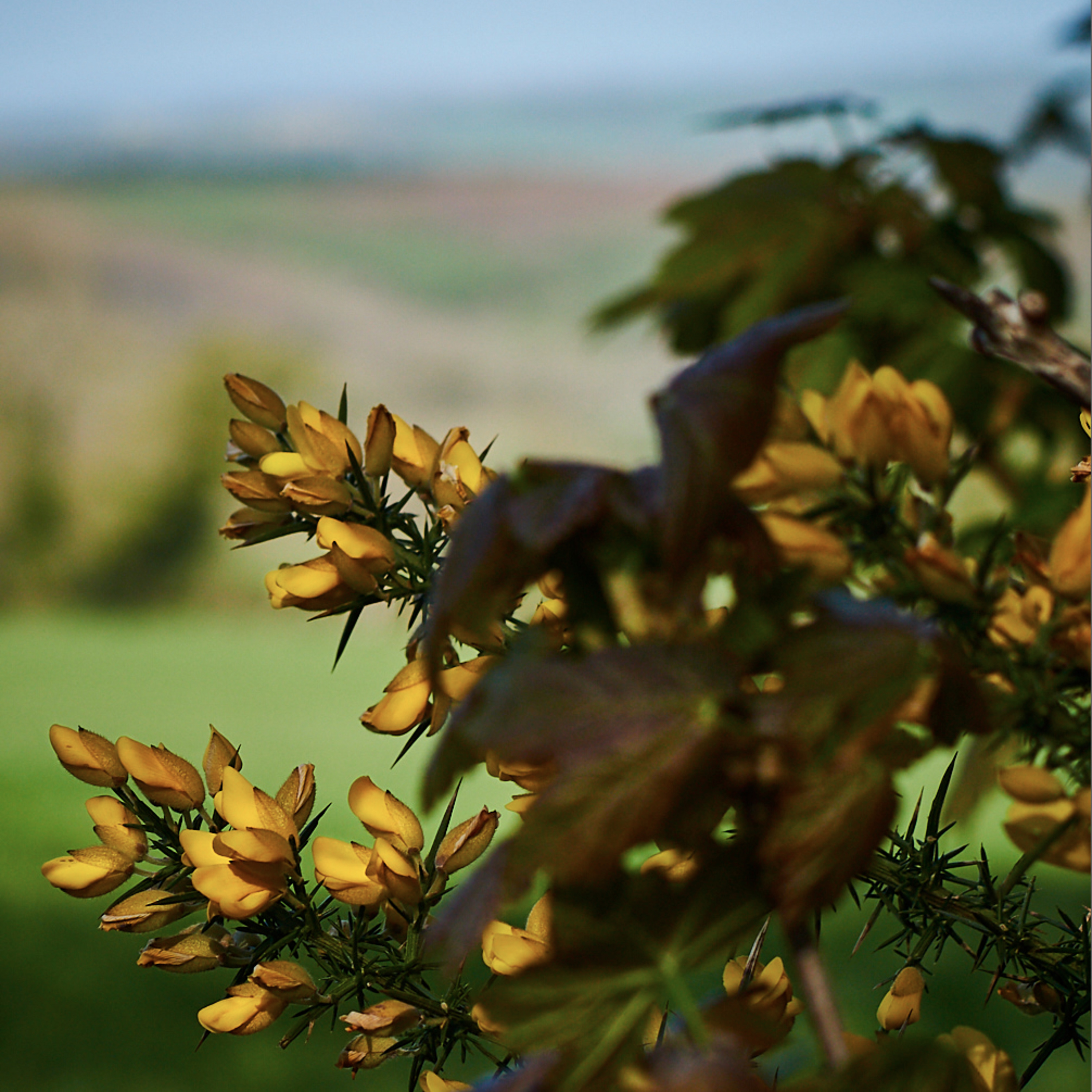 I\'ve got a little black book (@Occams_Beard)