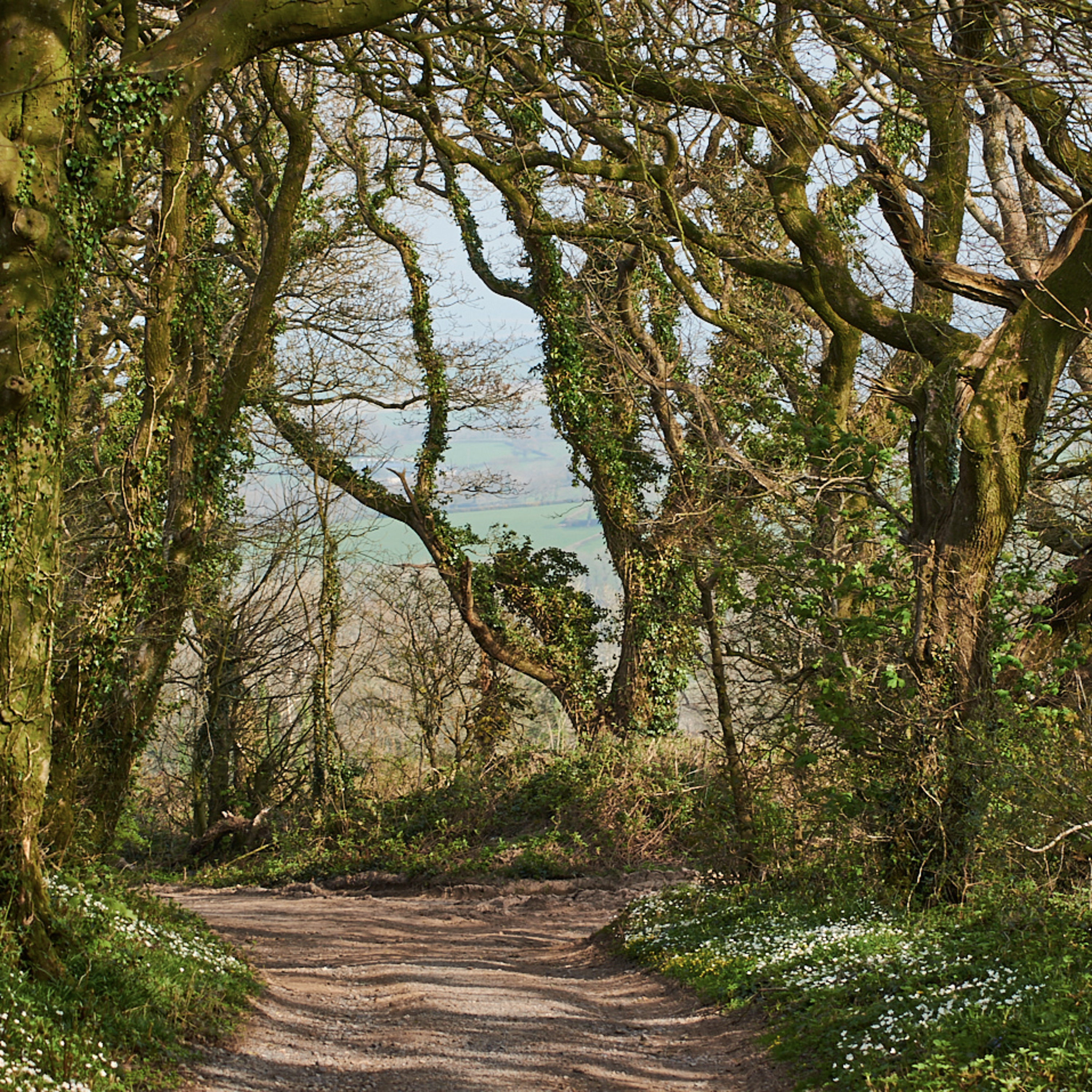 I\'ve got a little black book (@Occams_Beard)