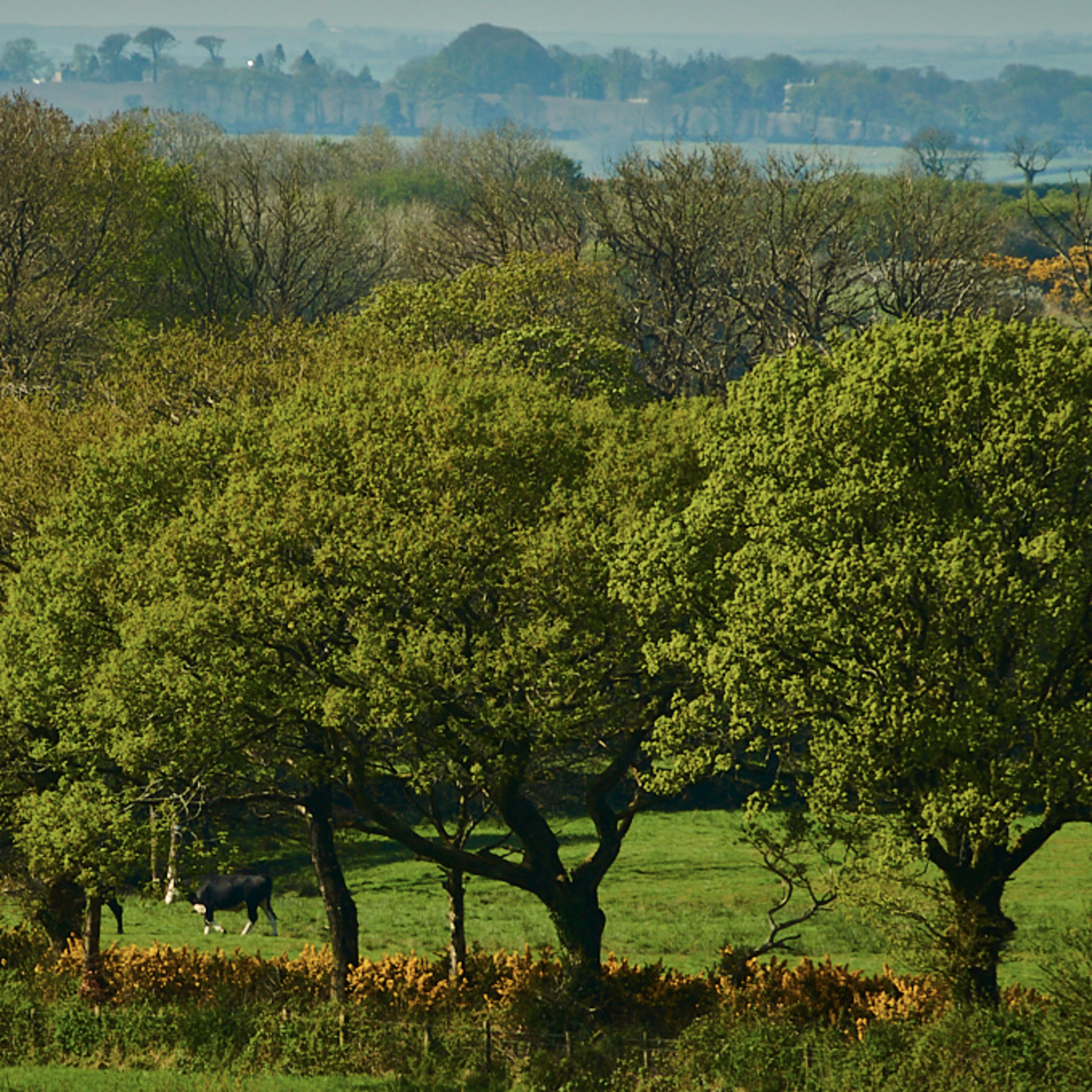 I\'ve got a little black book (@Occams_Beard)