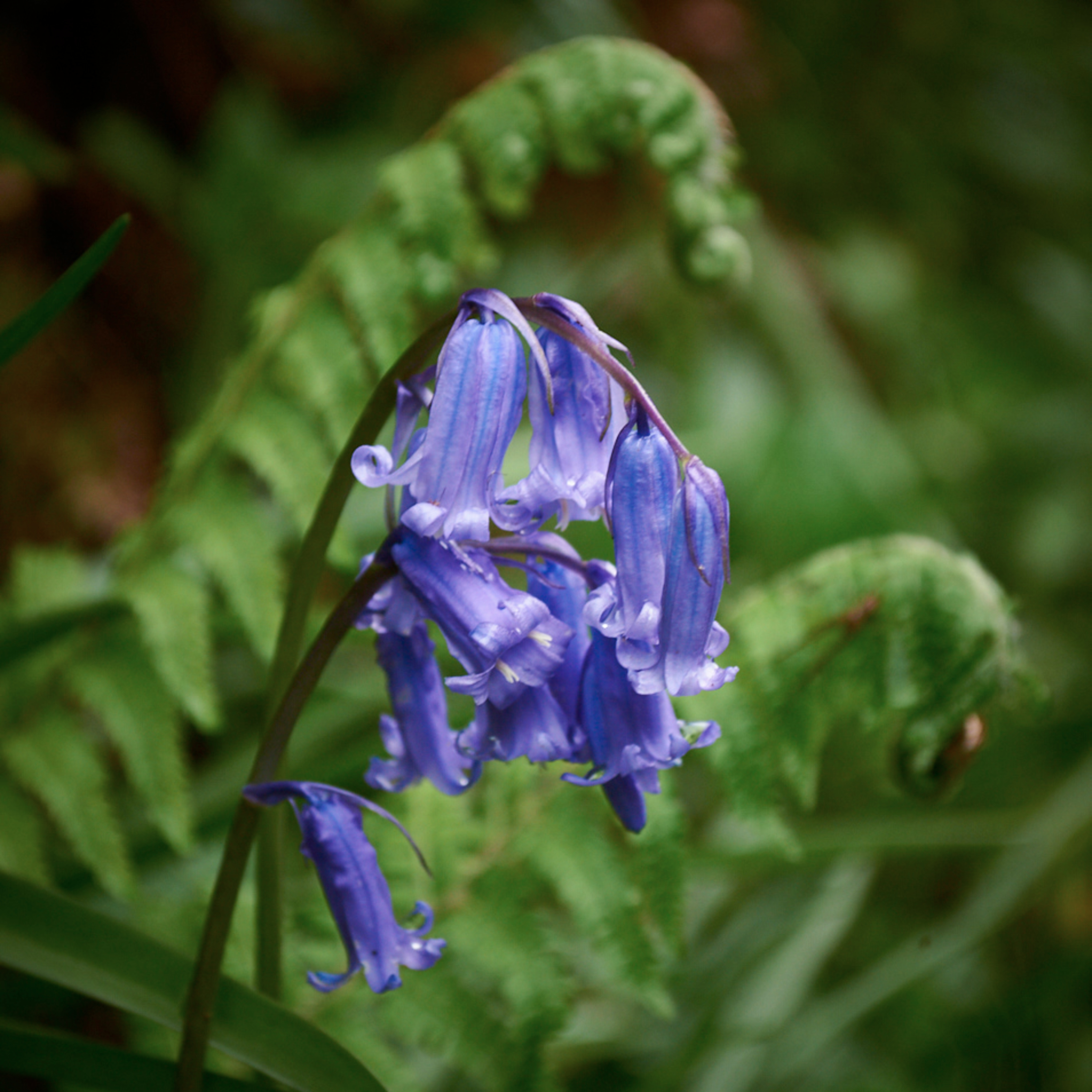 I\'ve got a little black book (@Occams_Beard)