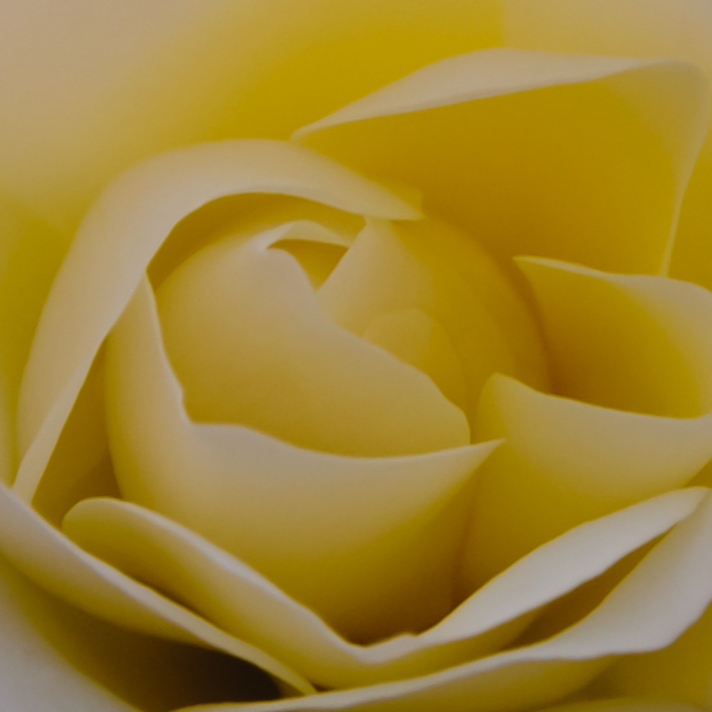 I\'ve got a little black book (@Occams_Beard)