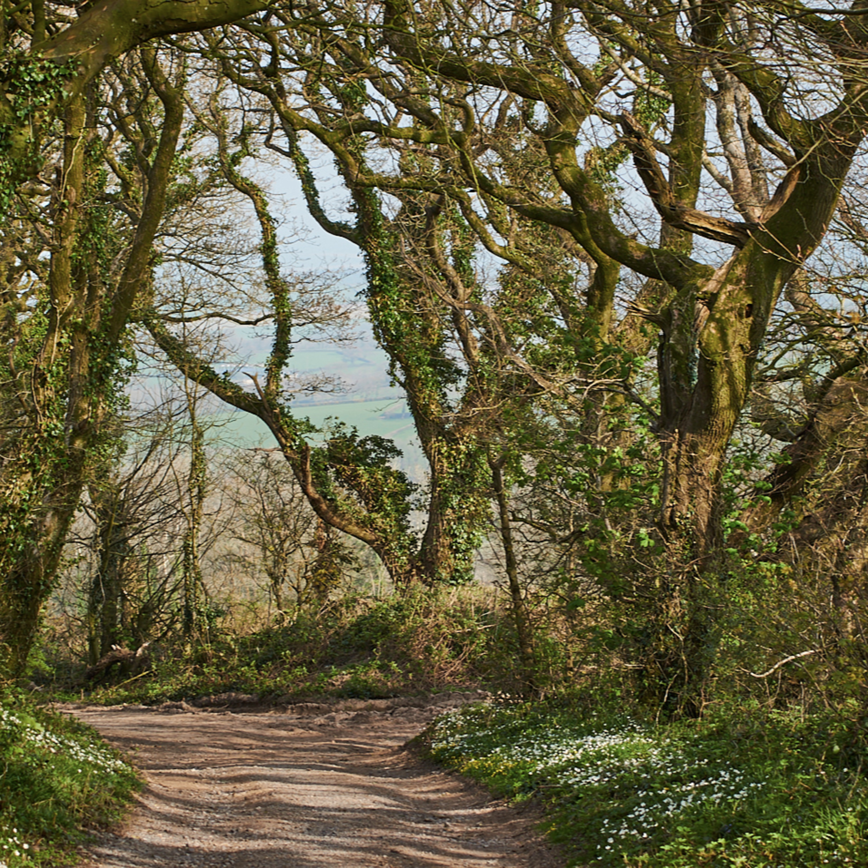 I\'ve got a little black book (@Occams_Beard)