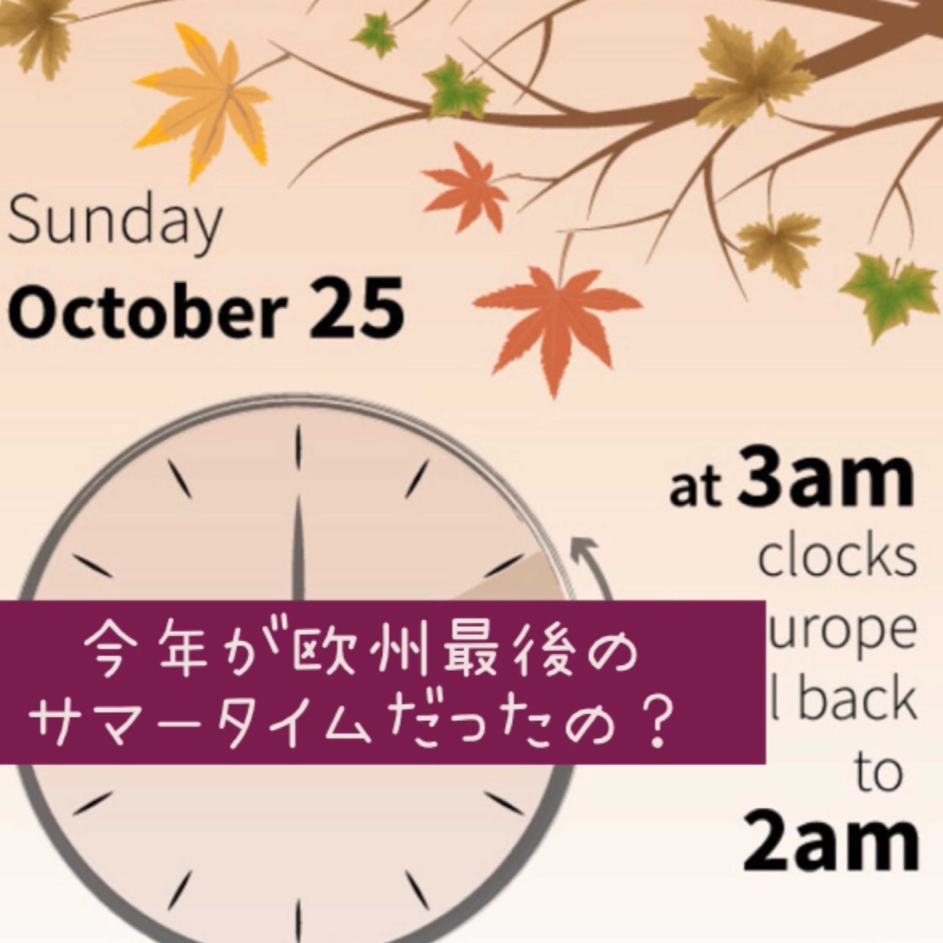 今年が欧州最後のサマータイムだったの？ episode artwork