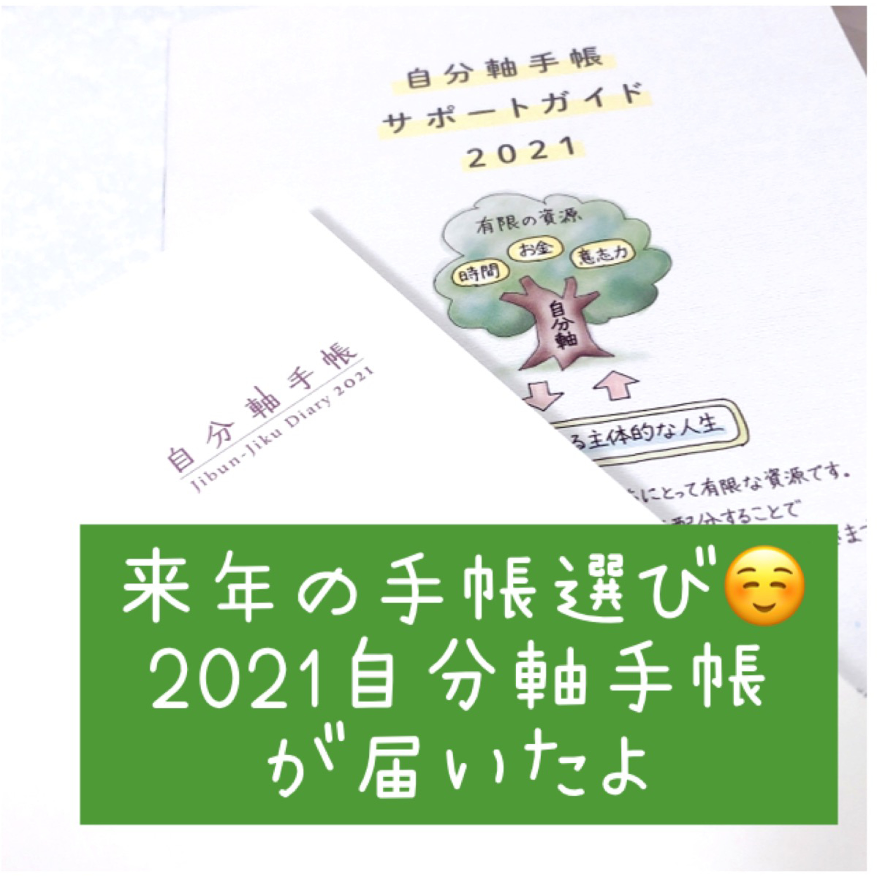 来年の手帳選び☺️2021自分軸手帳が届いたよ episode artwork