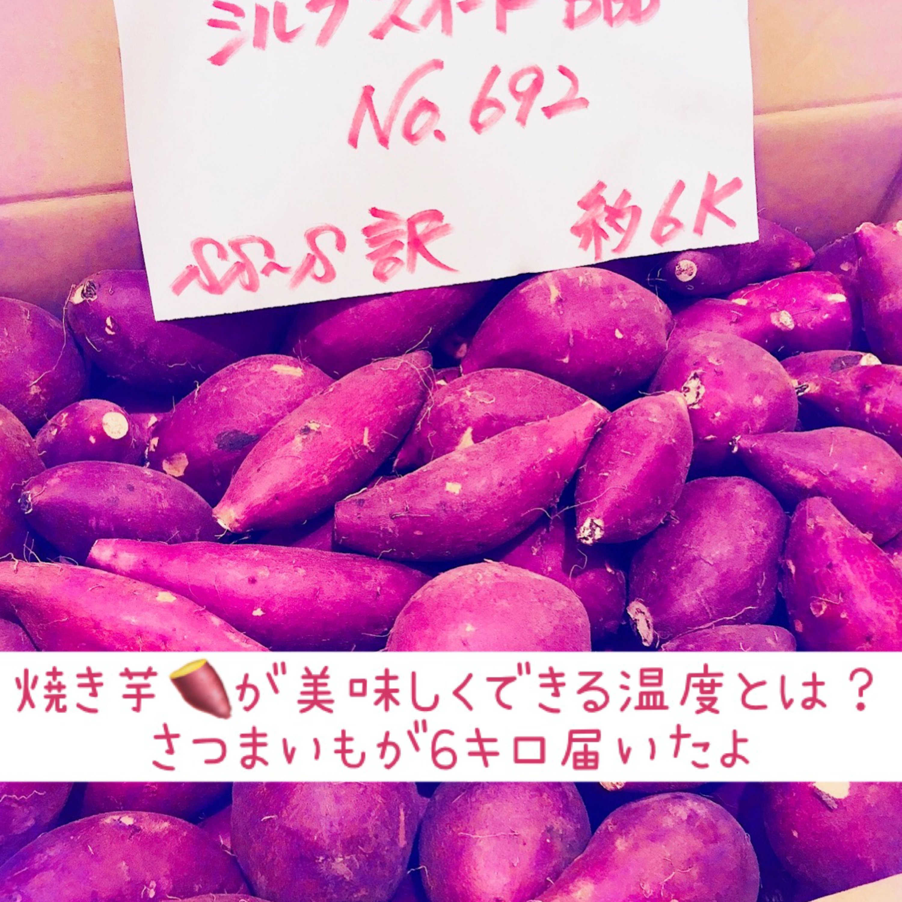 焼き芋🍠が美味しくできる温度とは？ さつまいもが6キロ届いたよ episode artwork