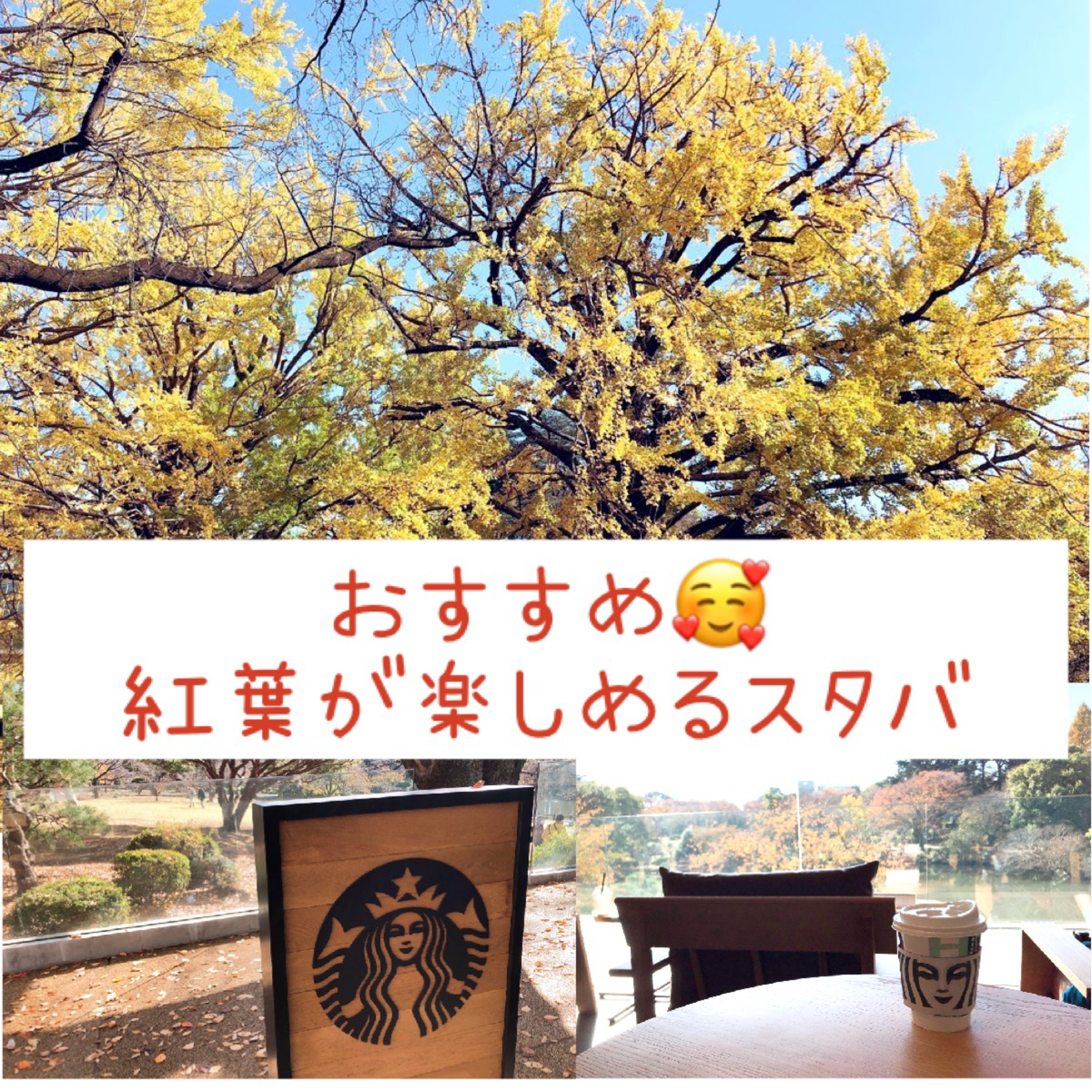 おすすめ🍁紅葉が楽しめるスタバで優雅に episode artwork