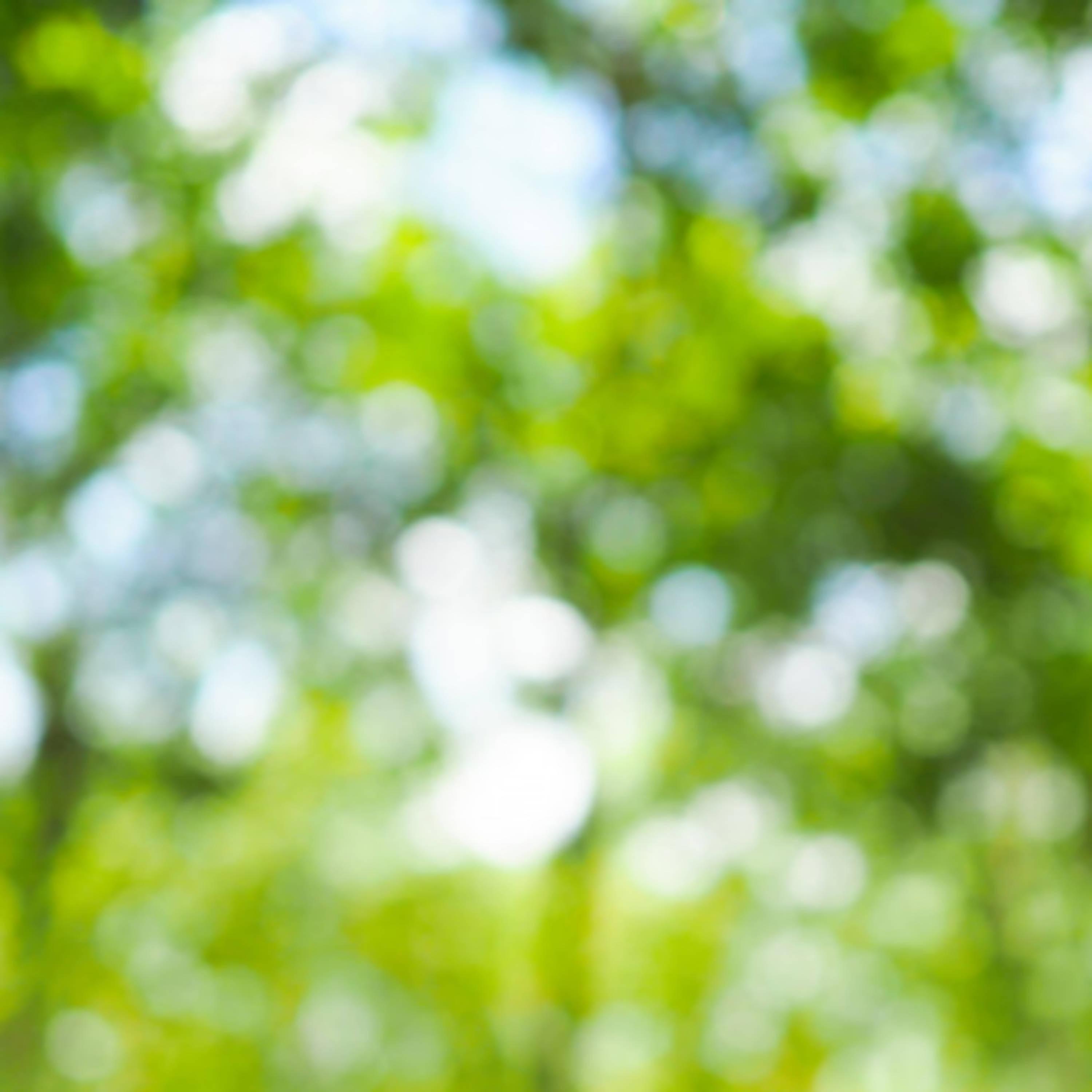 Reflections by Kunal Gupta