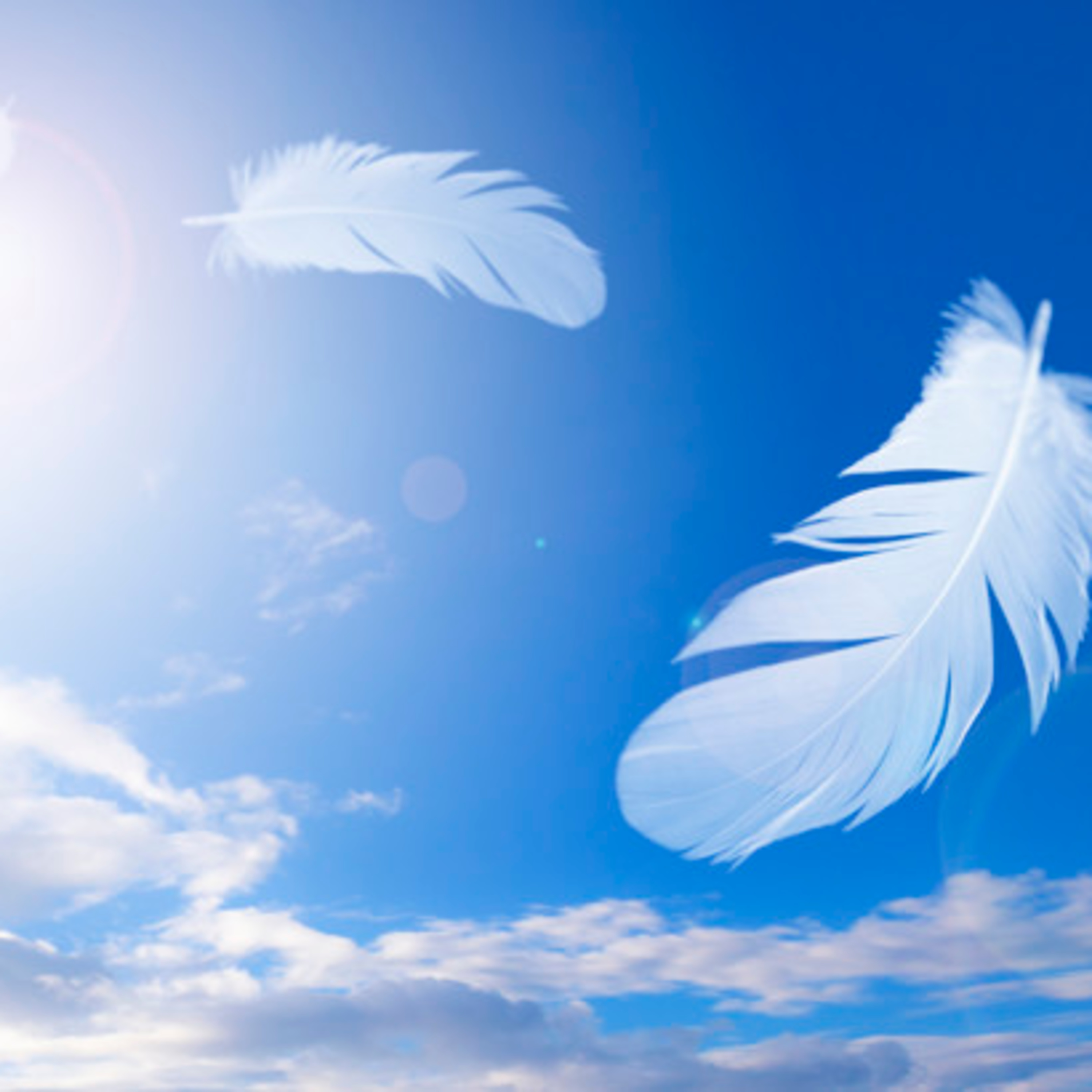 Reflections by Kunal Gupta