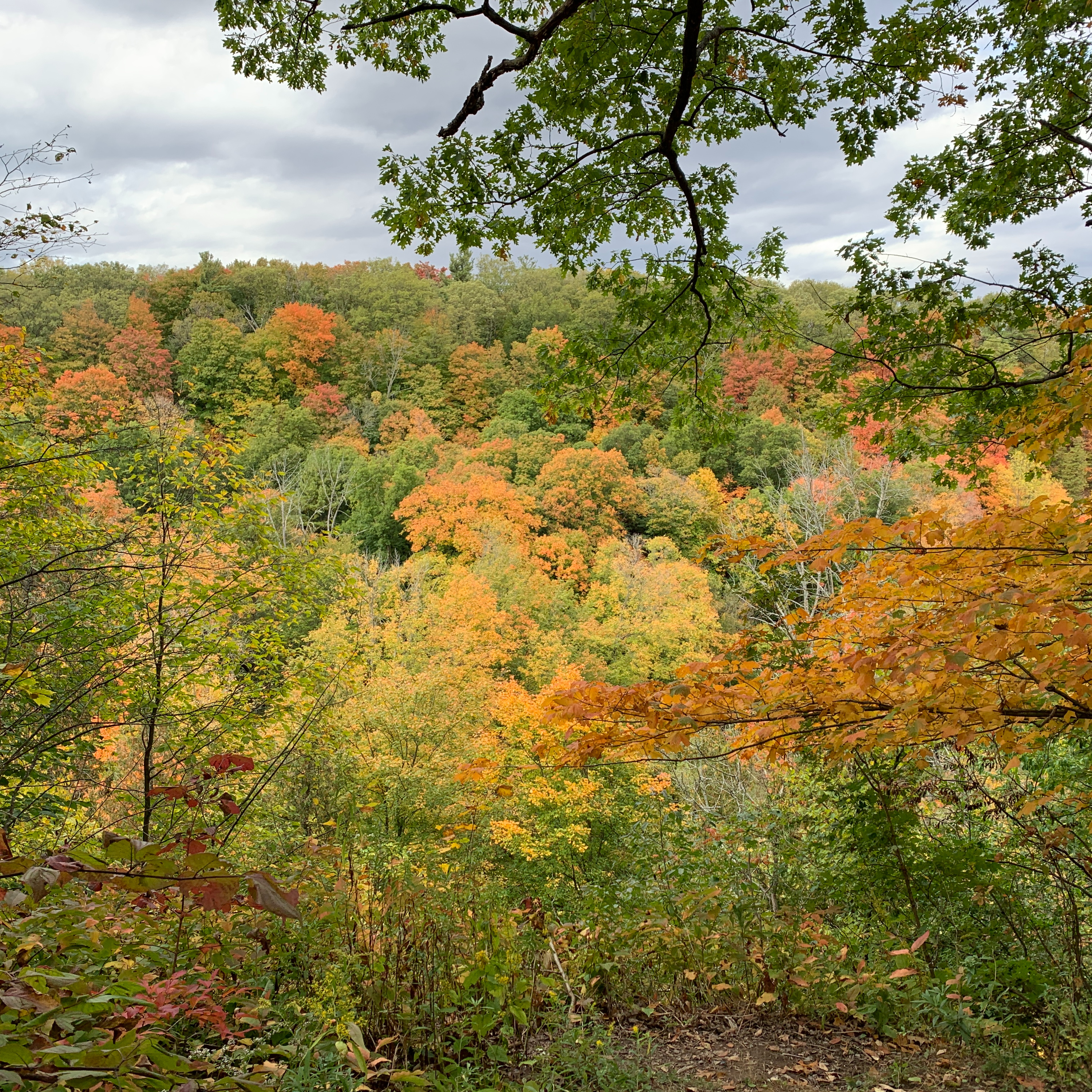 Reflections by Kunal Gupta