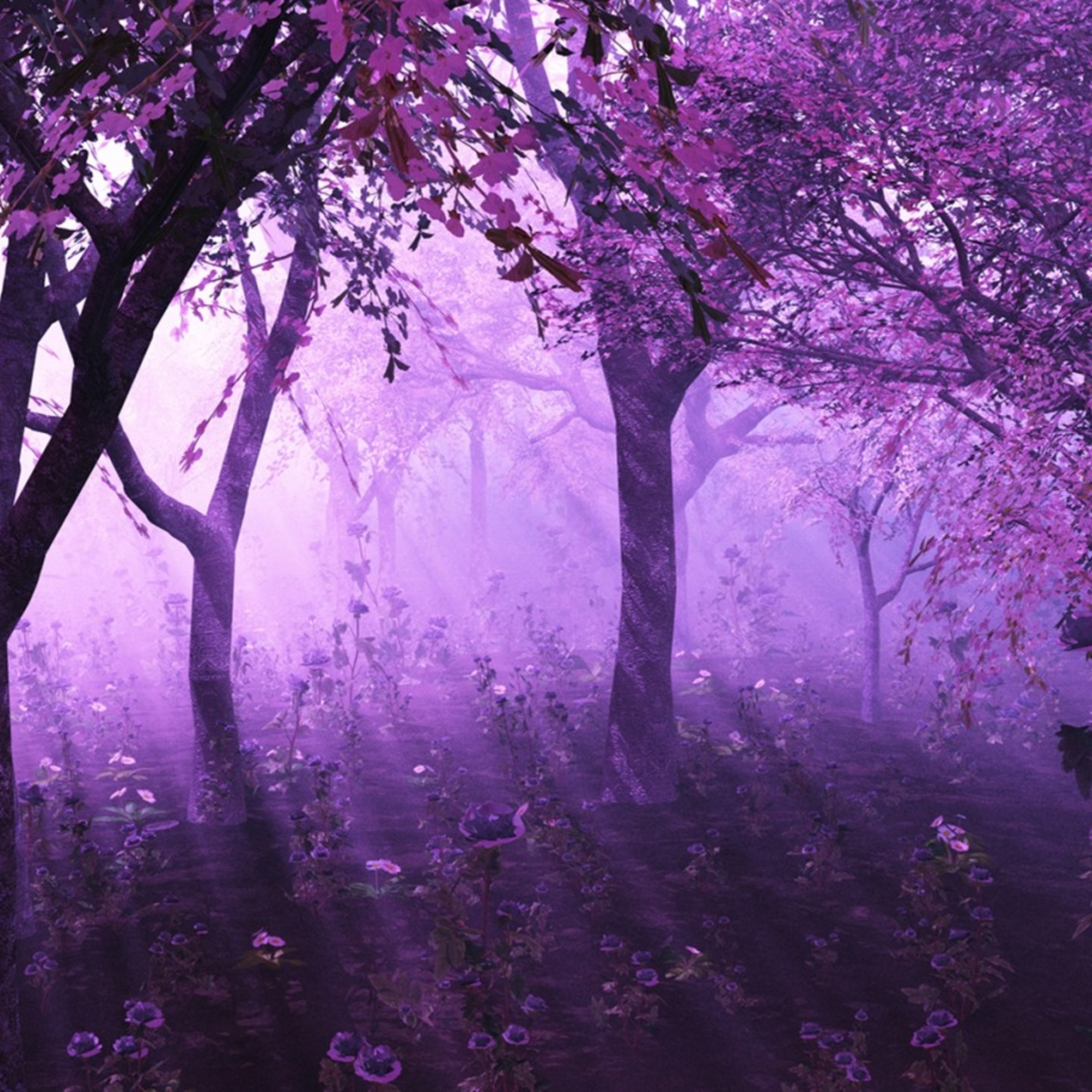 Reflections by Kunal Gupta