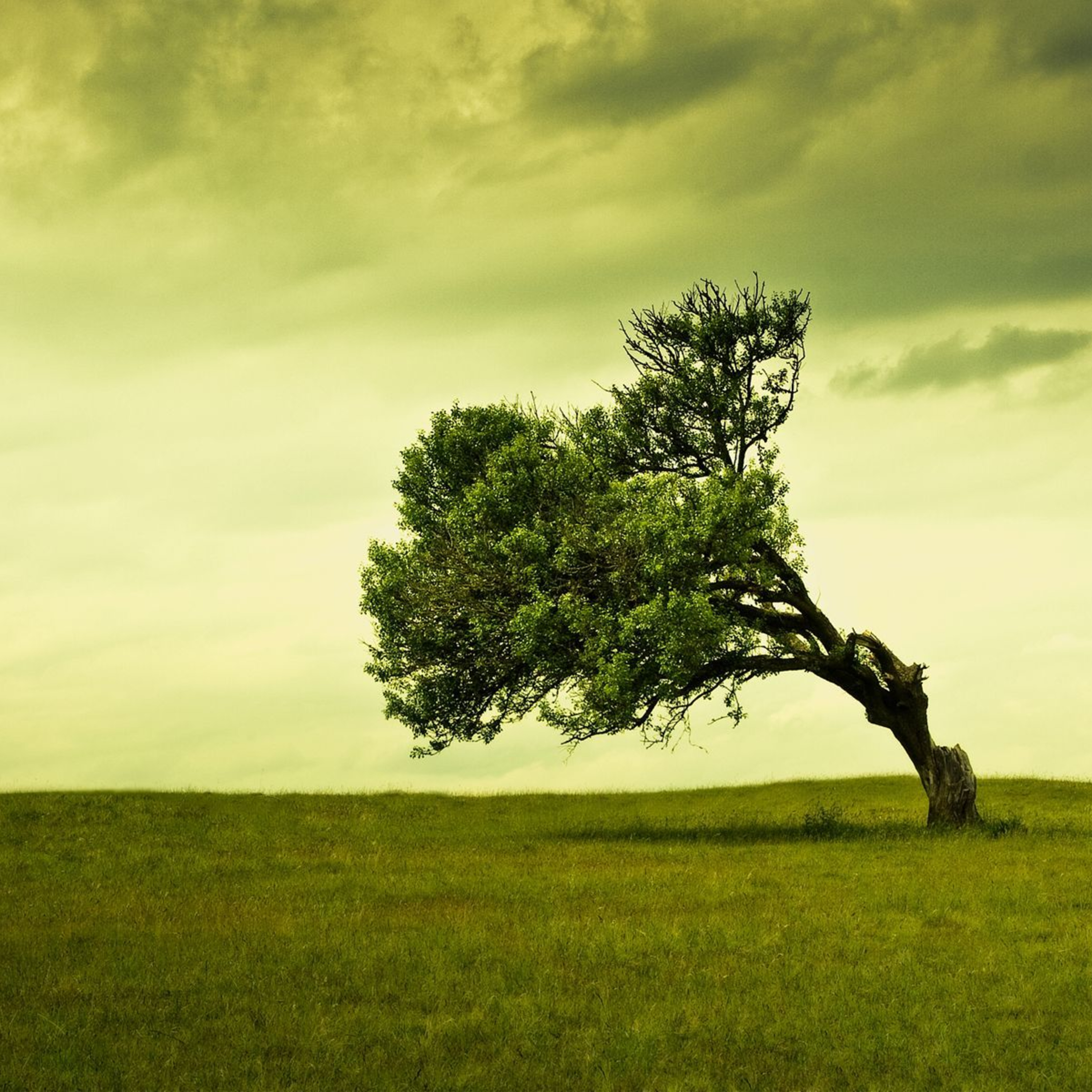 Reflections by Kunal Gupta