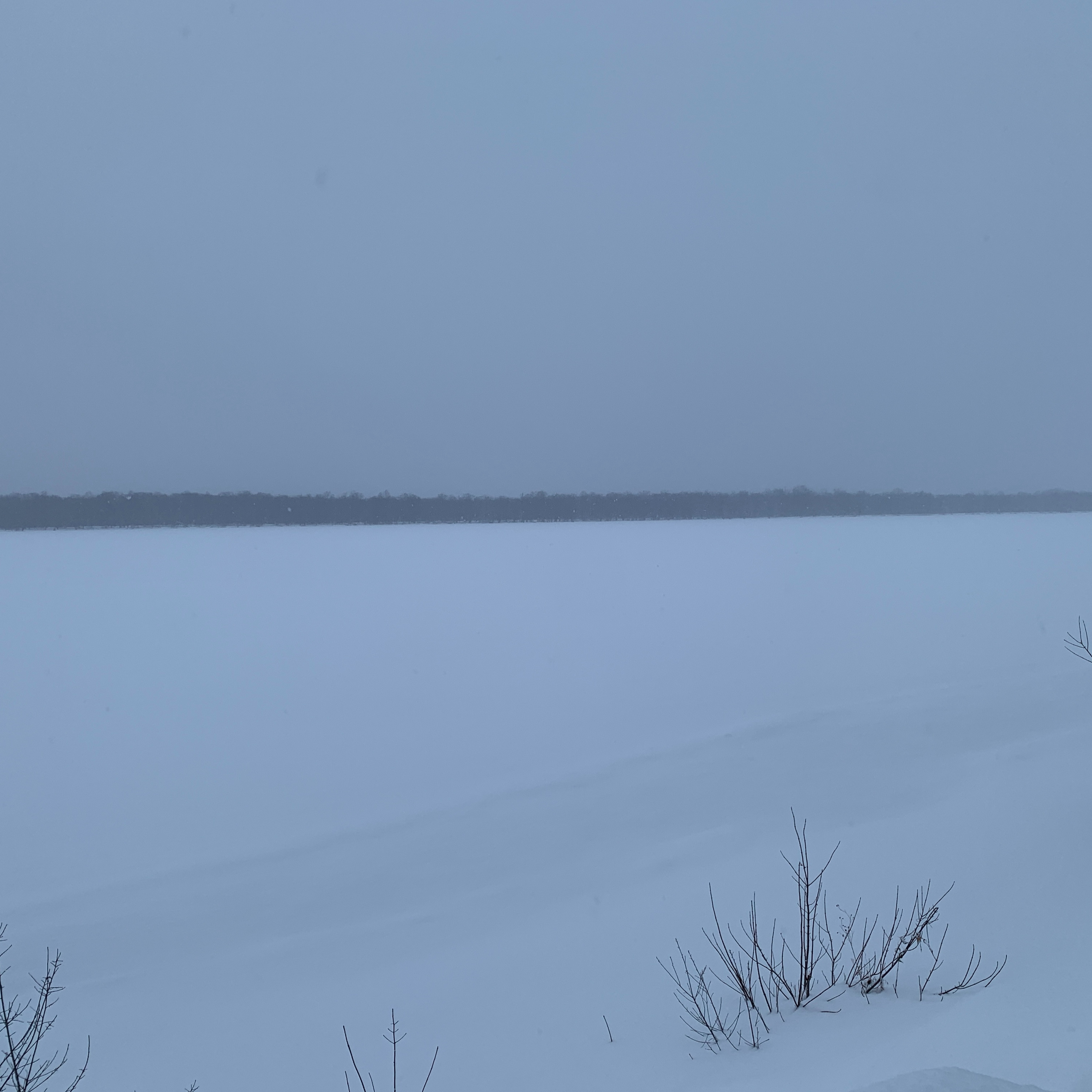 Reflections by Kunal Gupta