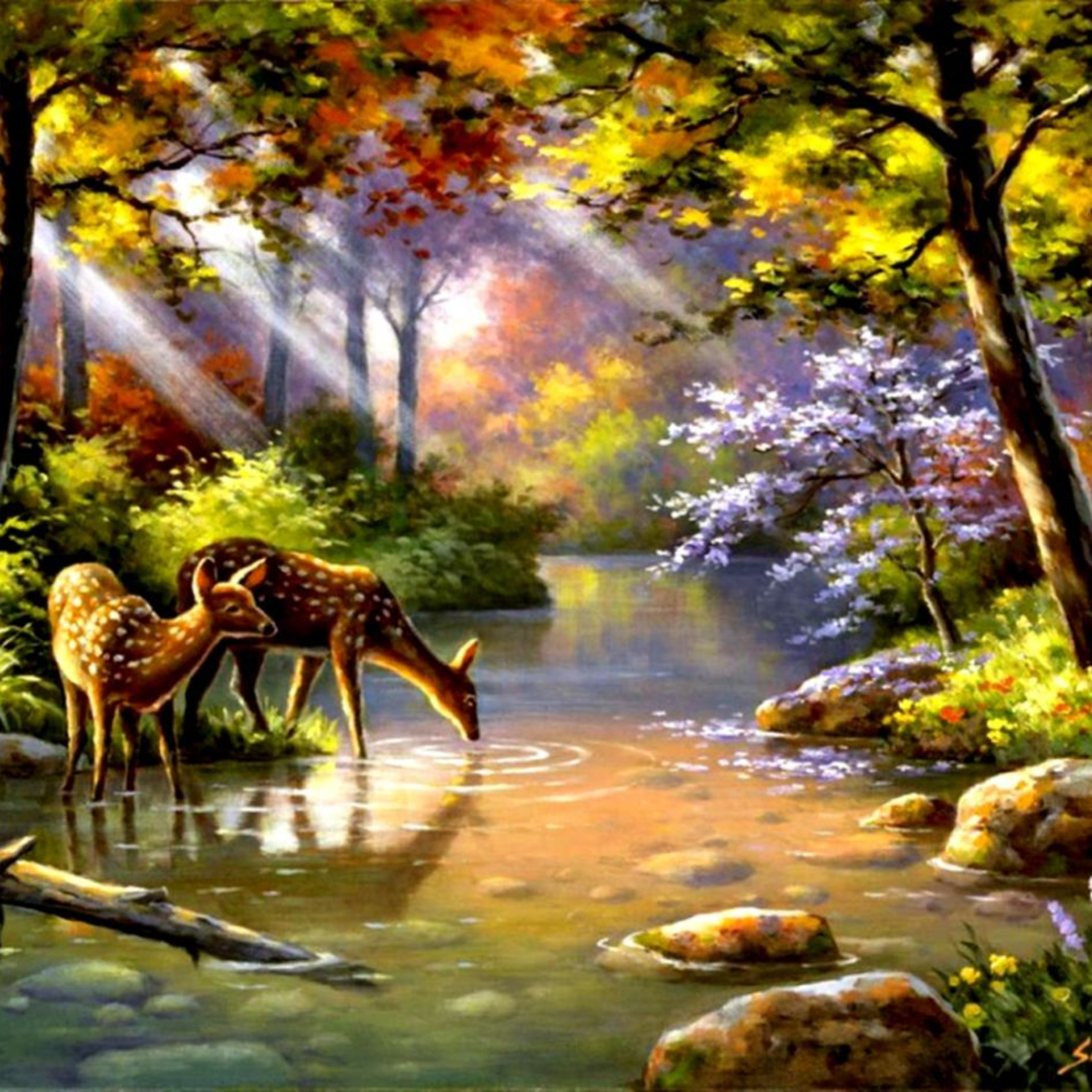 Reflections by Kunal Gupta