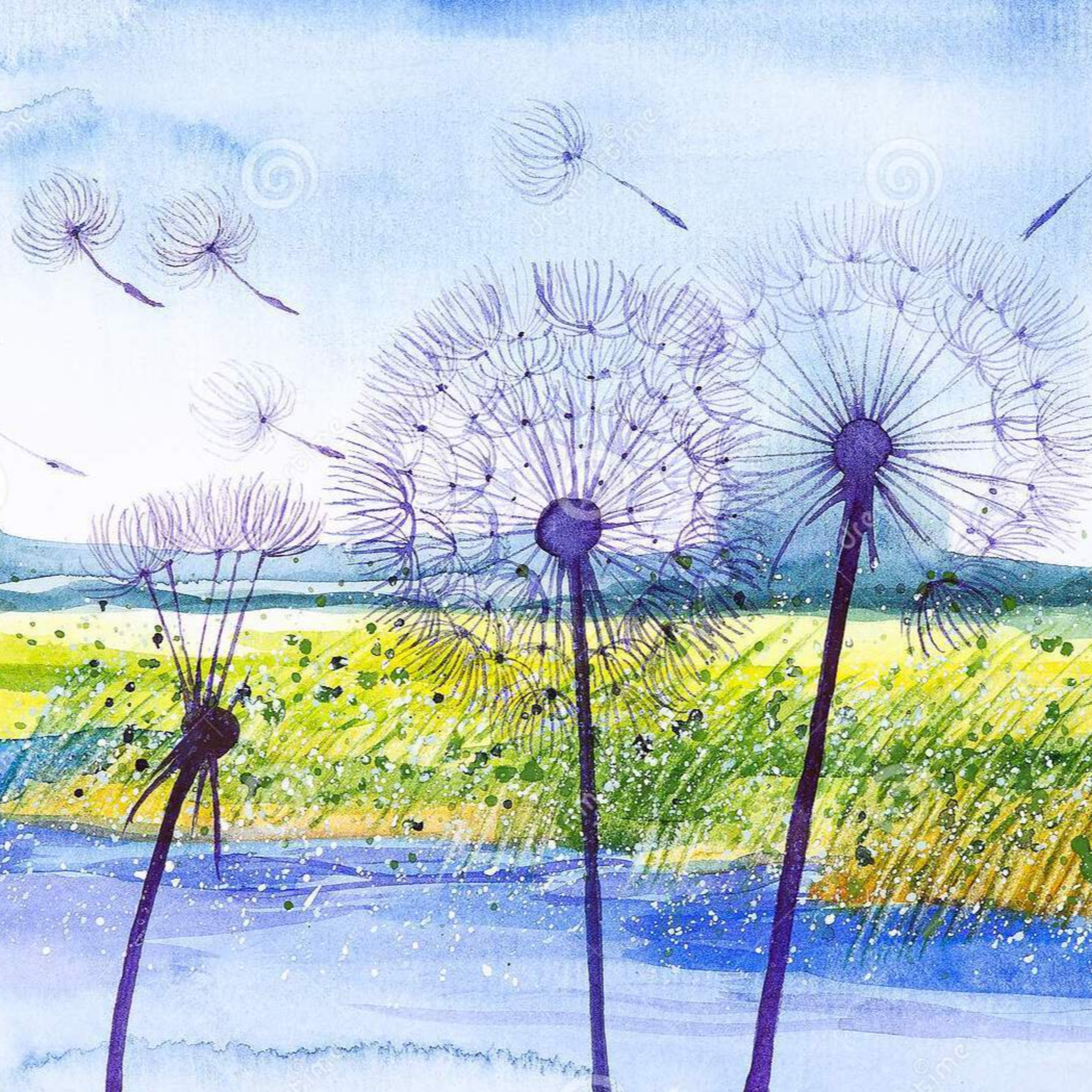 Reflections by Kunal Gupta