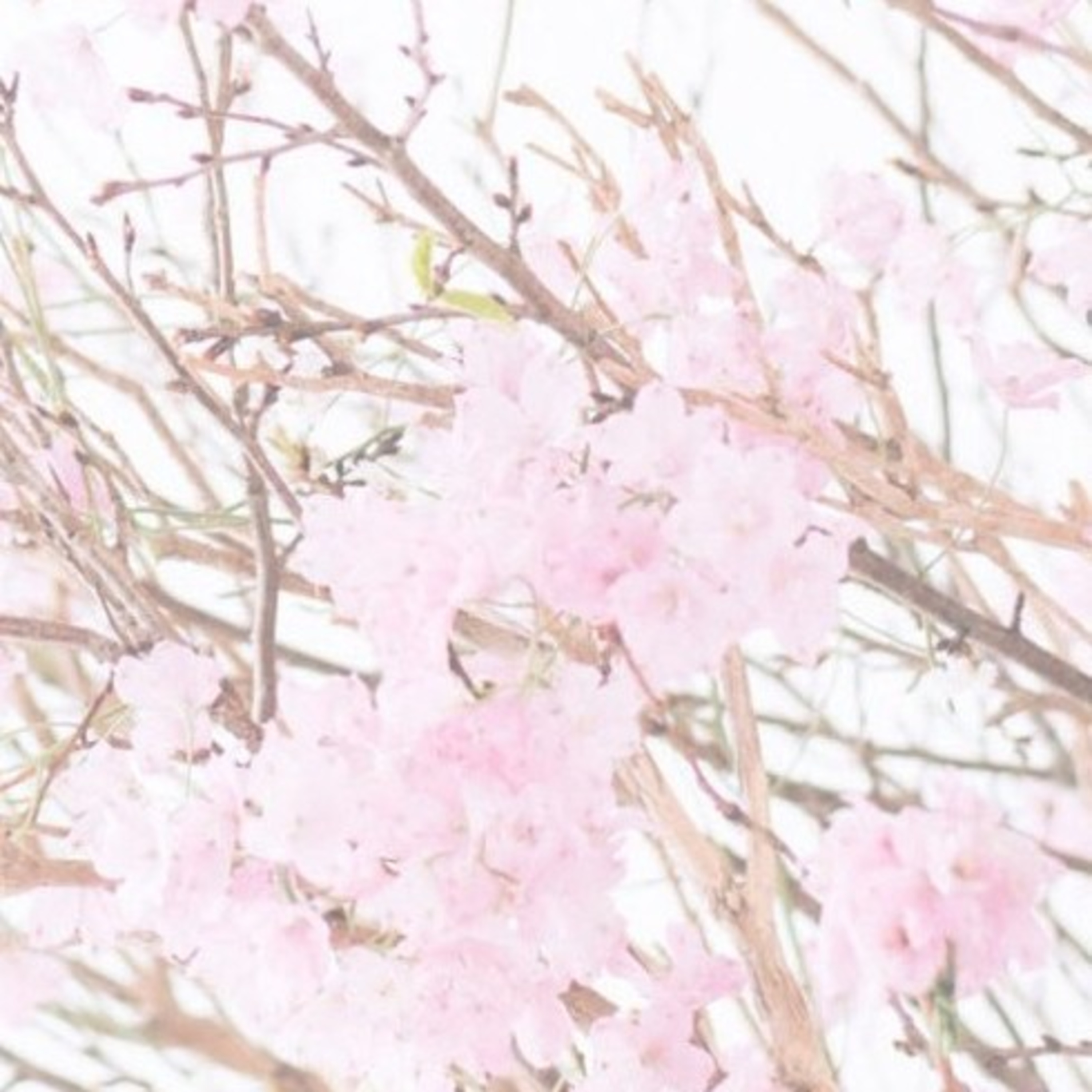 社労士_法律の目的等（cv.さとうささら）