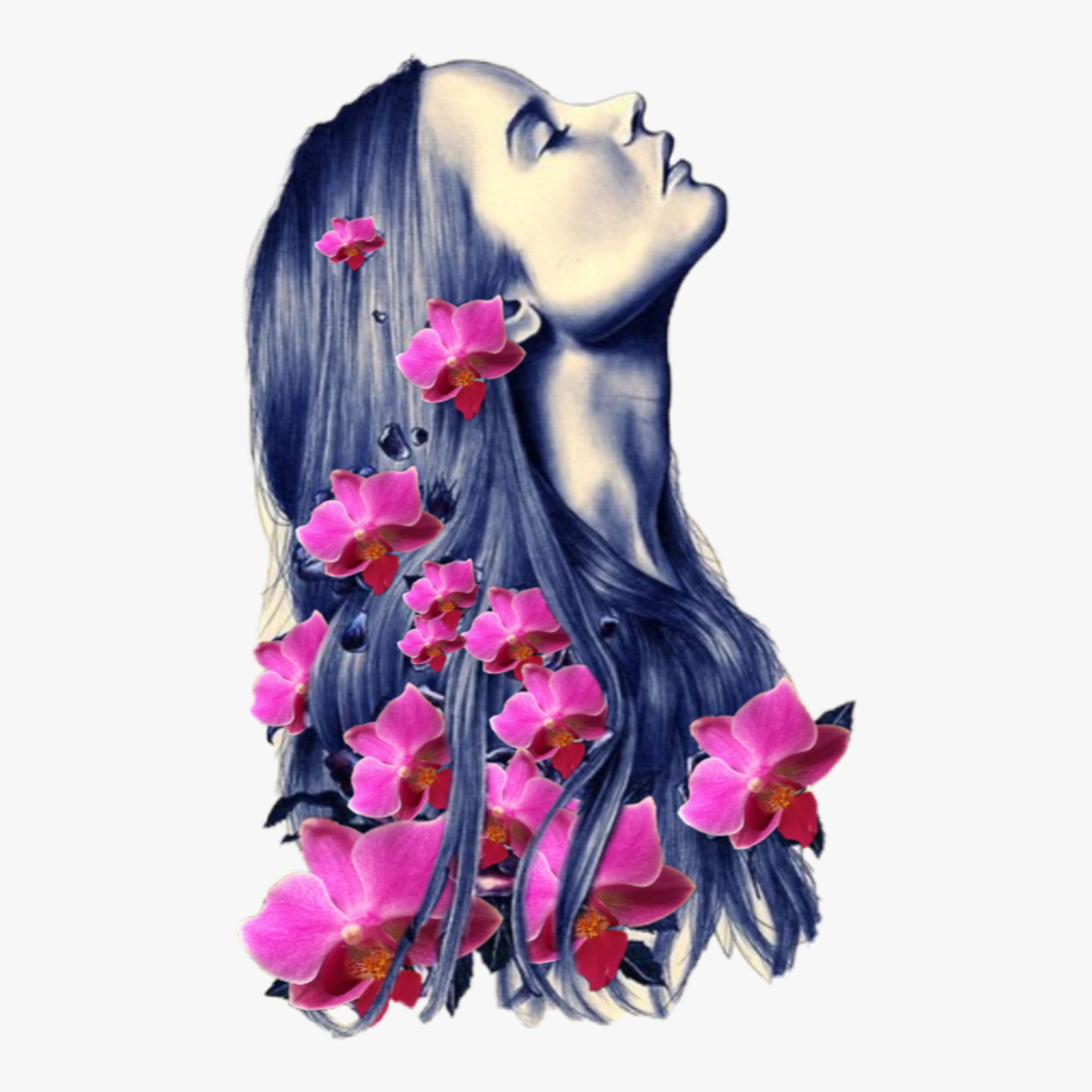 Windigogo - The Scent Addict