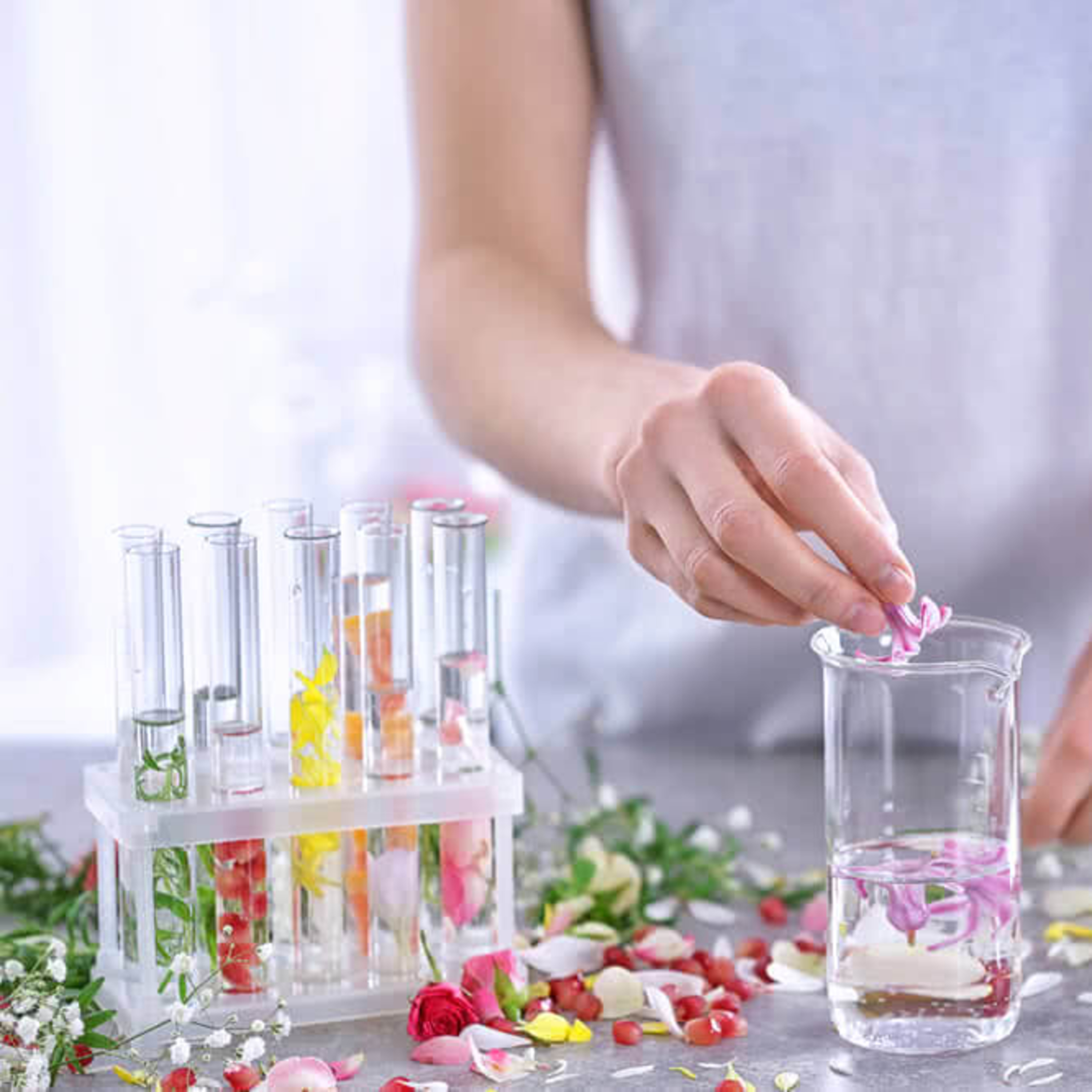 Windigogo - The Scent Addict