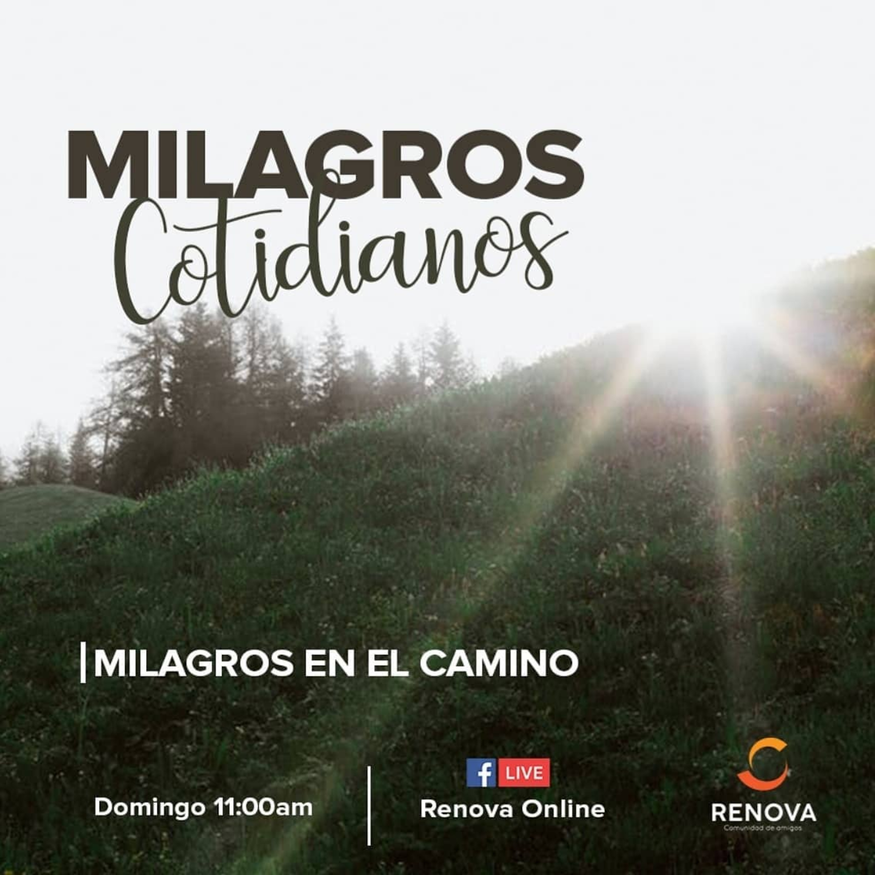 Renova Comunidad