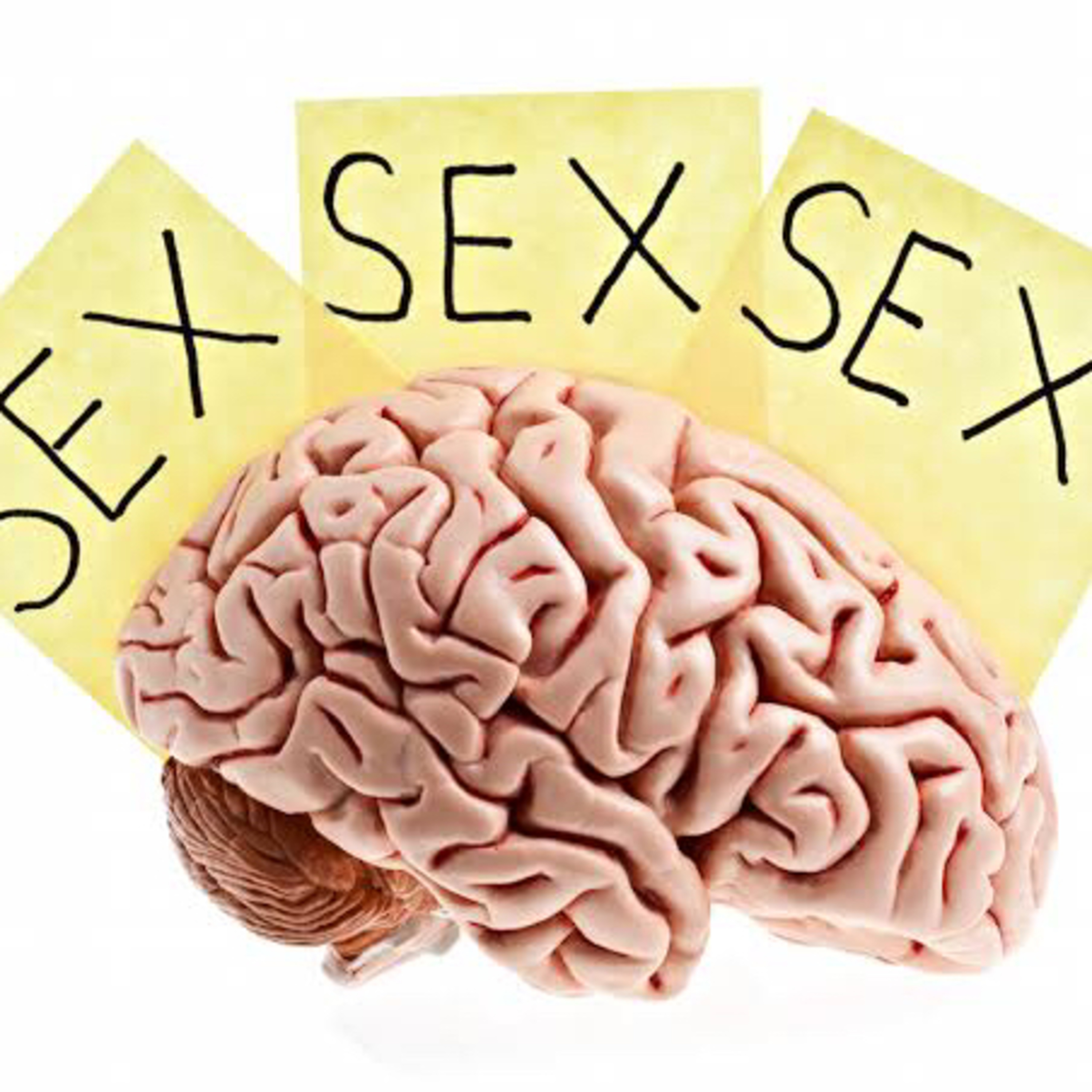 The boys get candid: mental health and sex