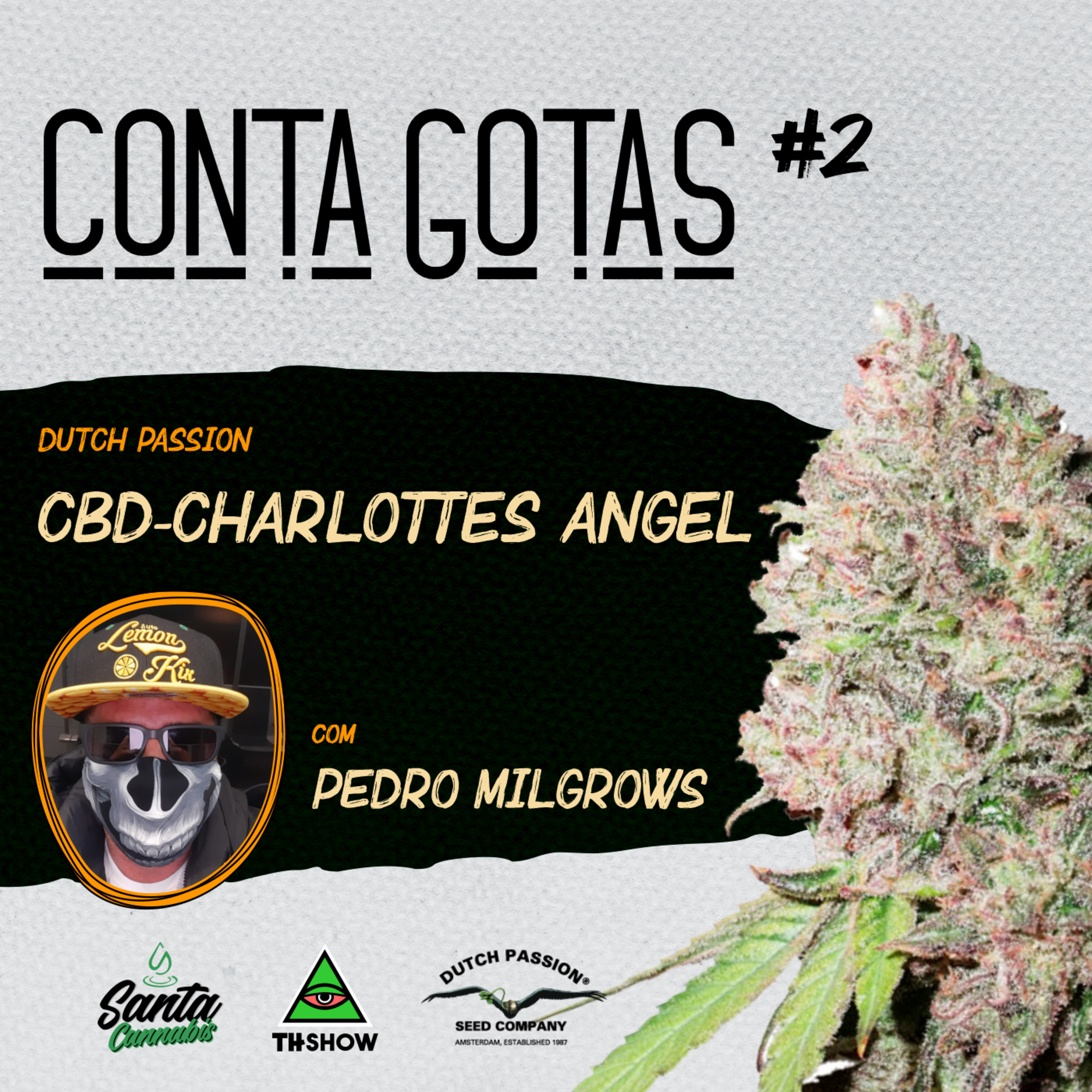 Santa Cannabis Podcast