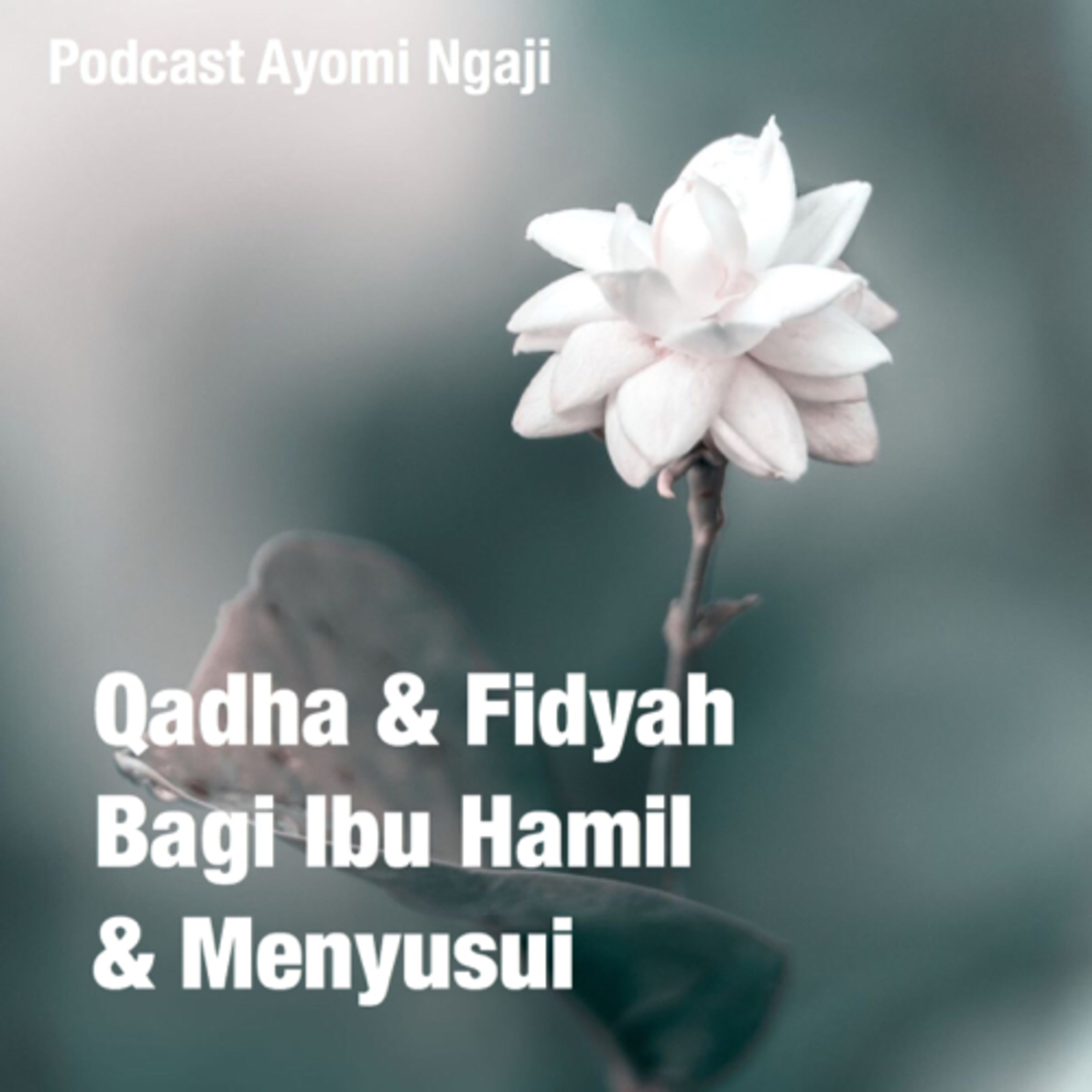 Podcast Ayomi Ngaji