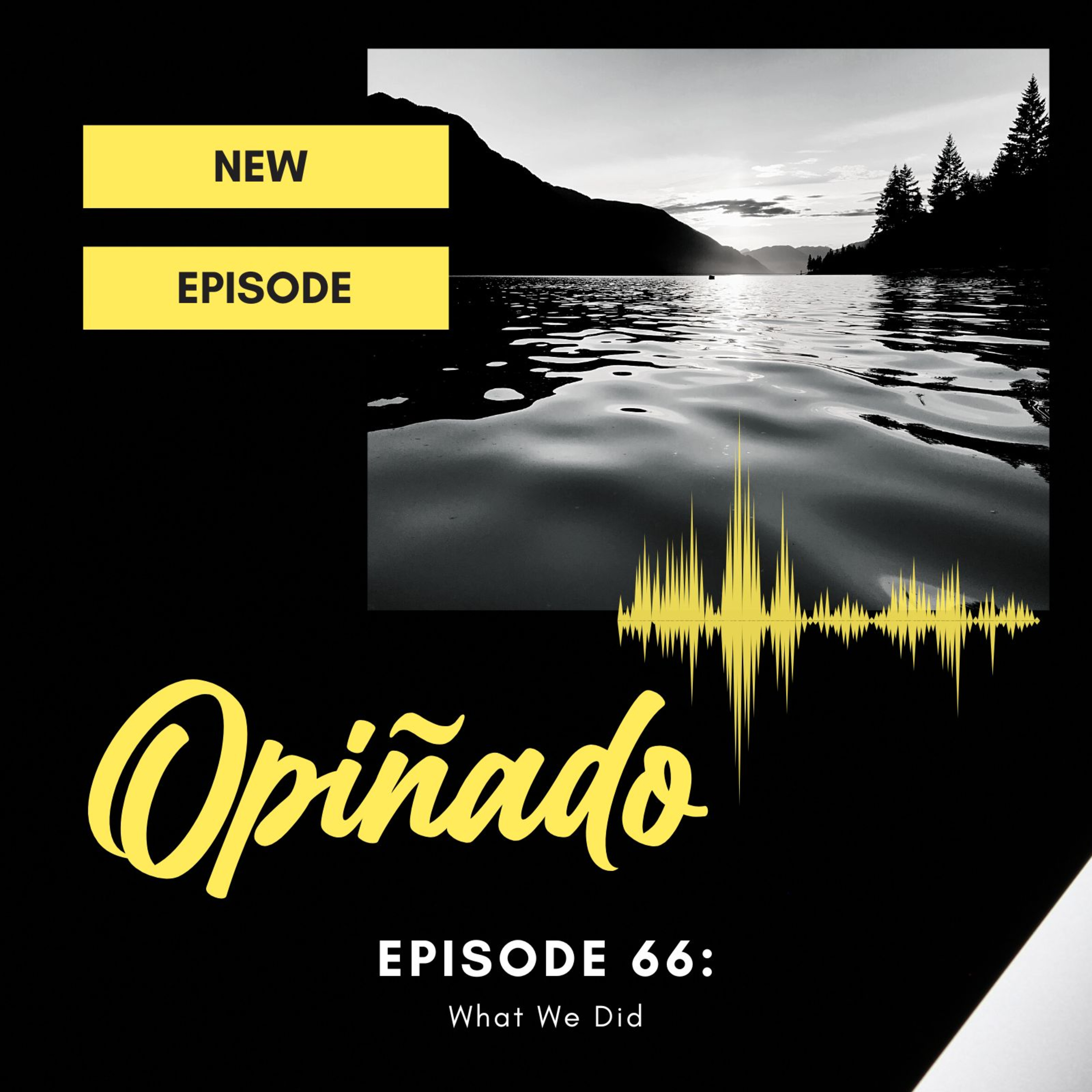 Opiñado Episode 66: What We Did episode artwork