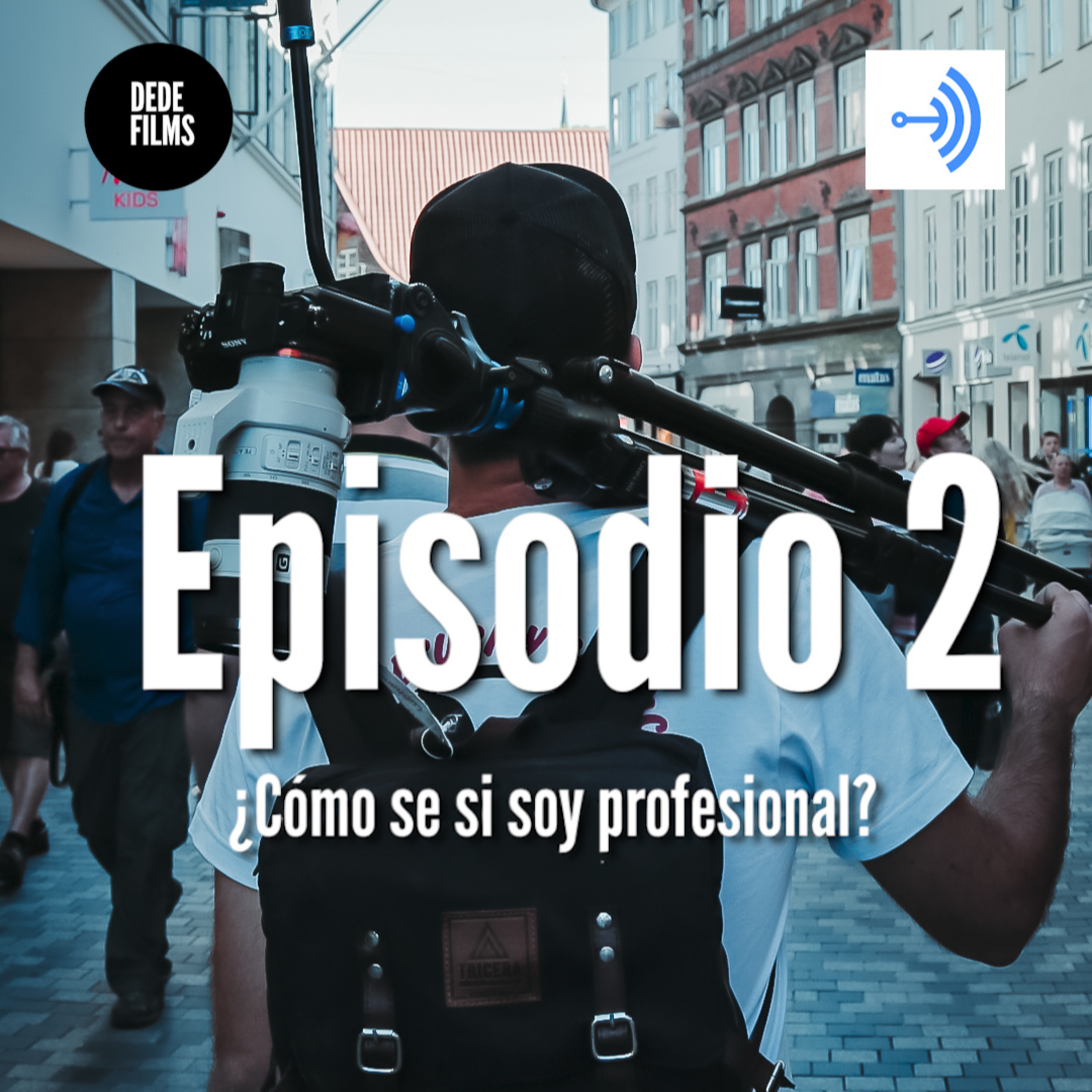 02 - ¿Cuándo podemos llamarnos profesionales?