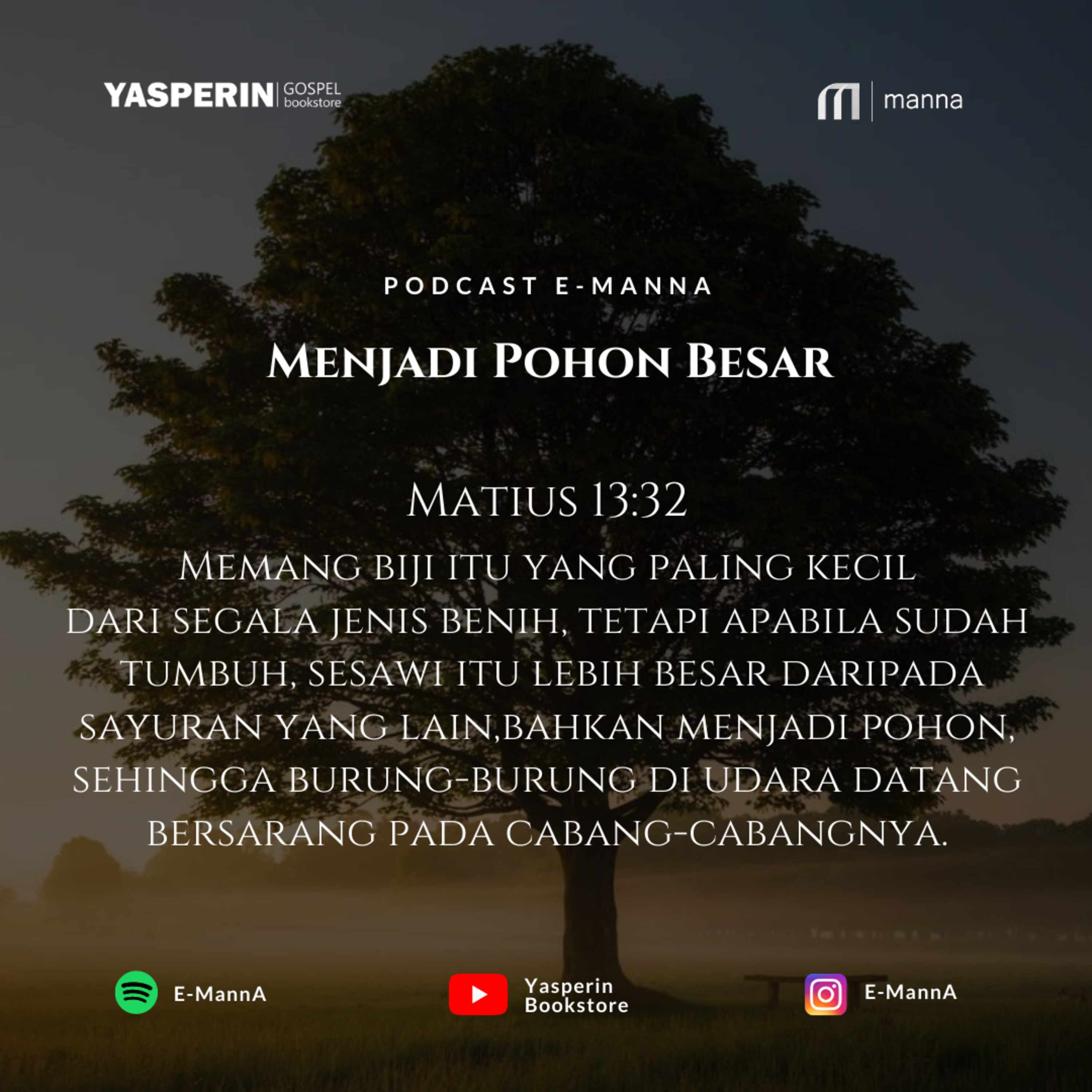 MENJADI POHON BESAR (PODCAST) episode artwork