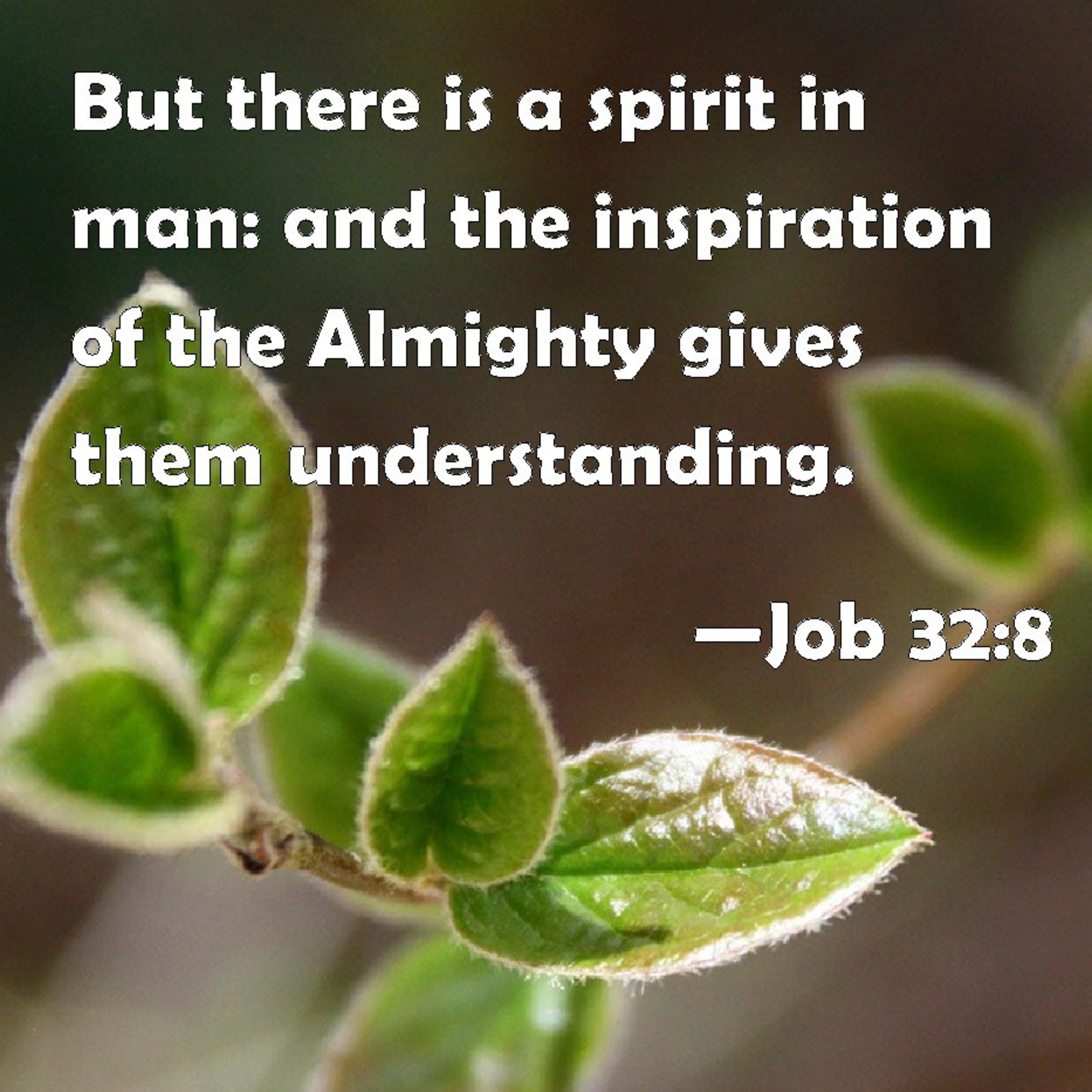 The spirit of man