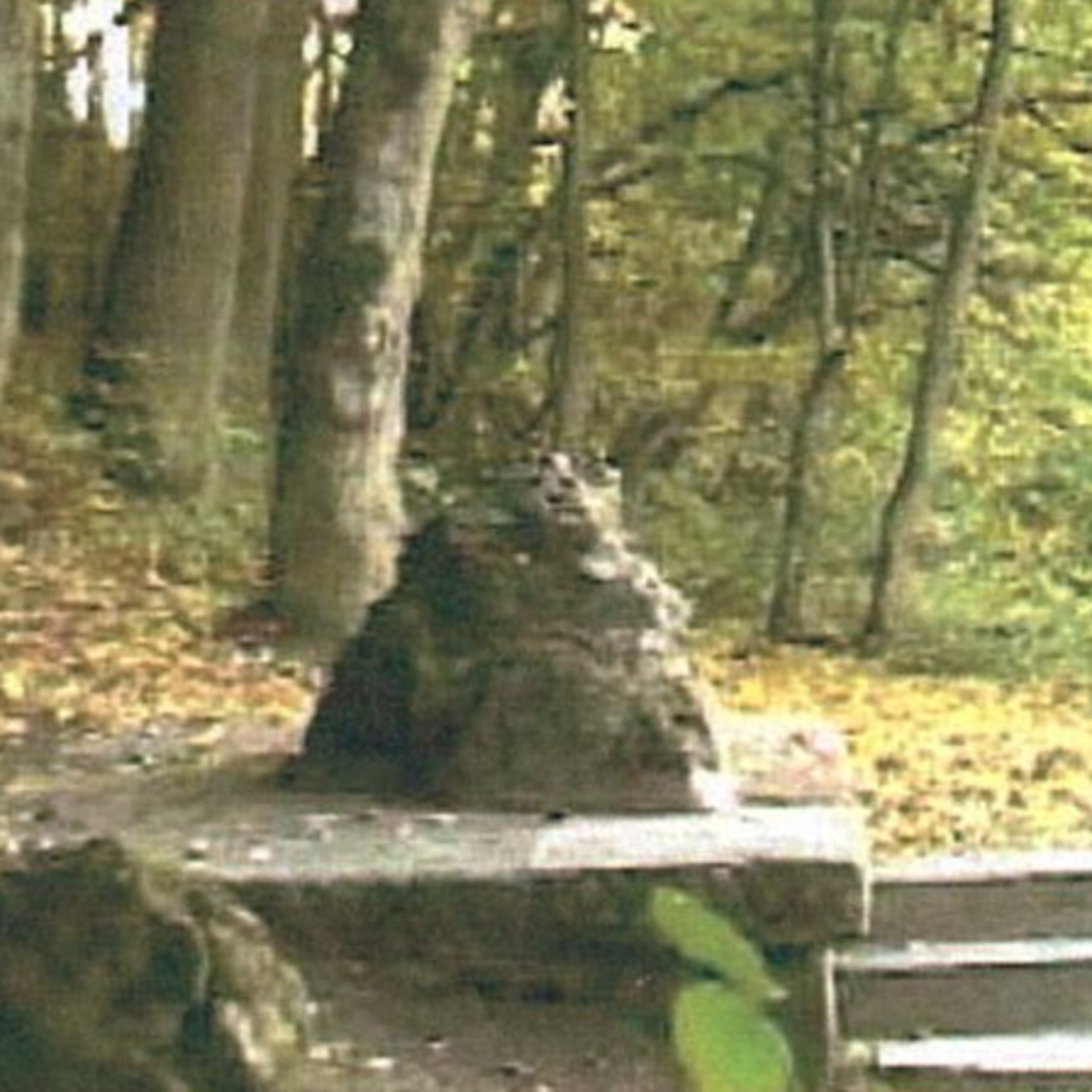 Opa Klauis Geschichten