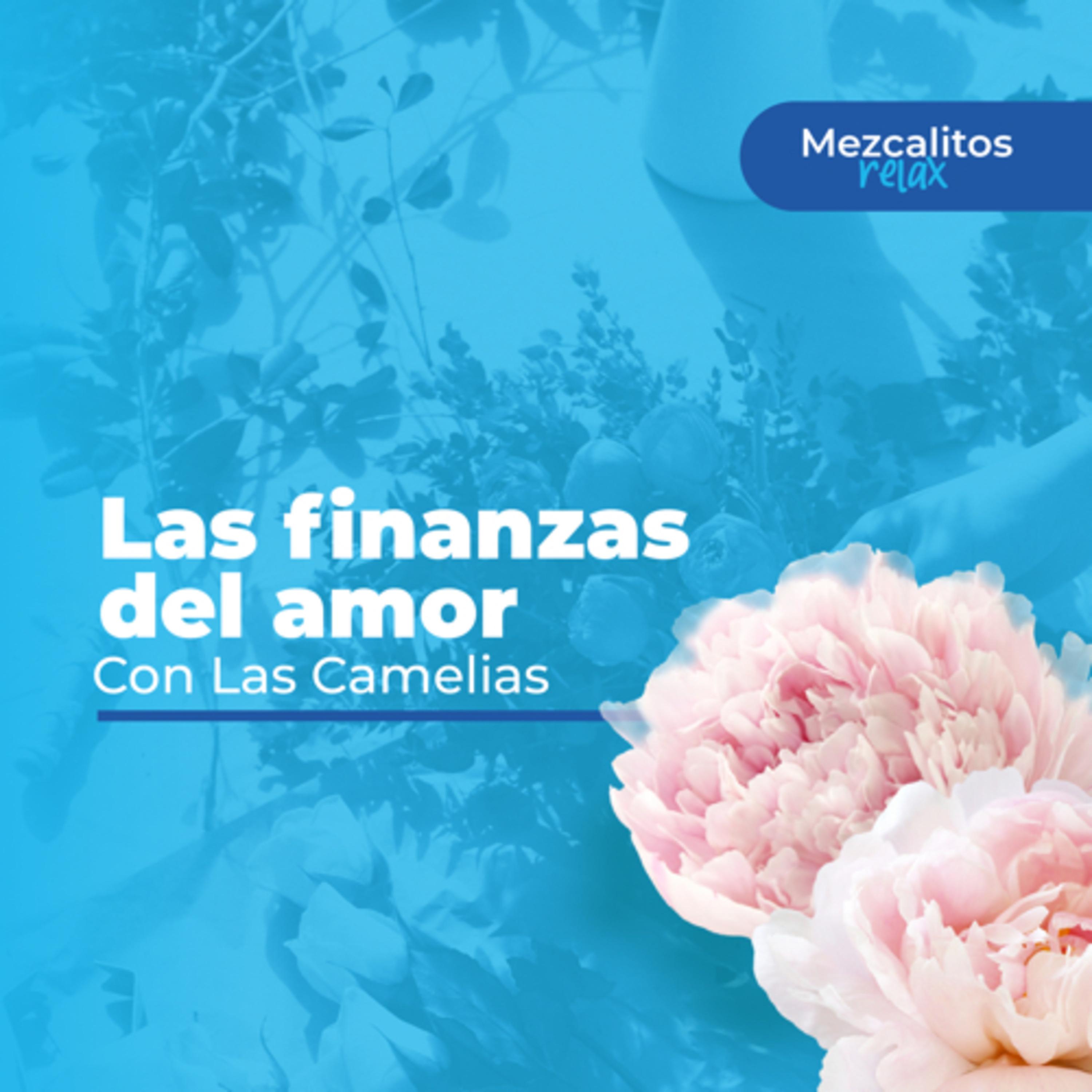 Finanzas Relax